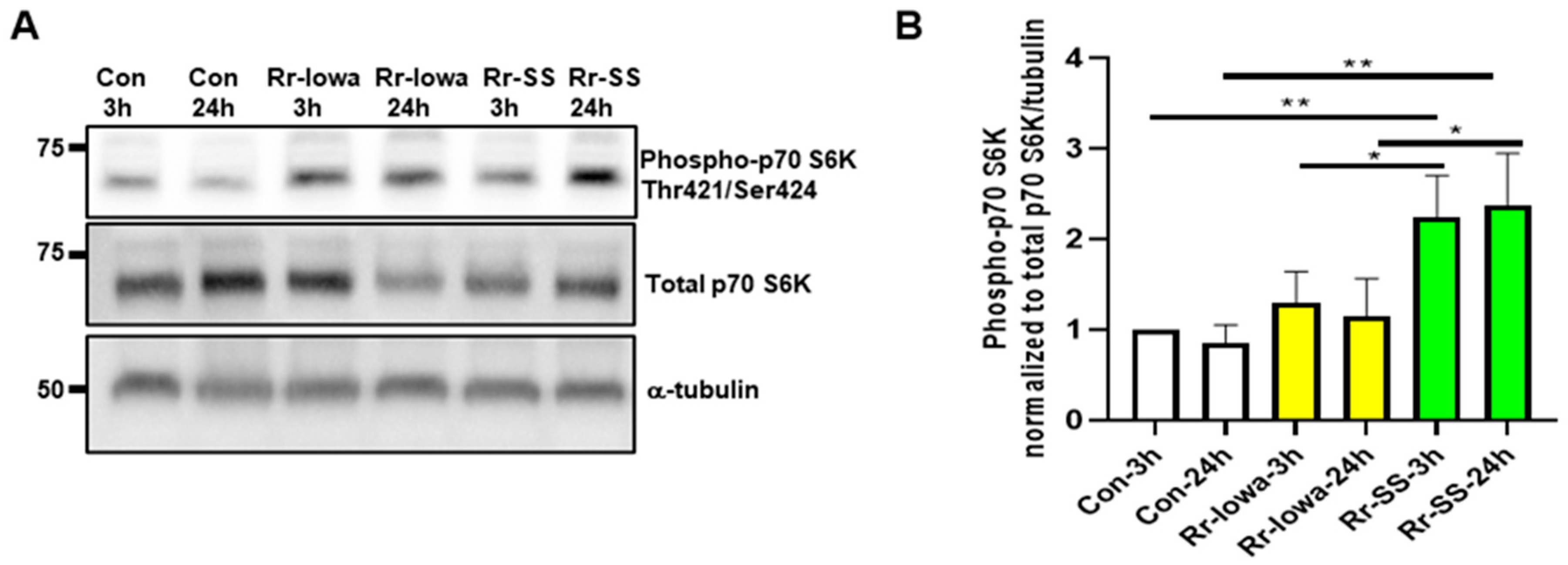 Microorganisms 12 00296 g001
