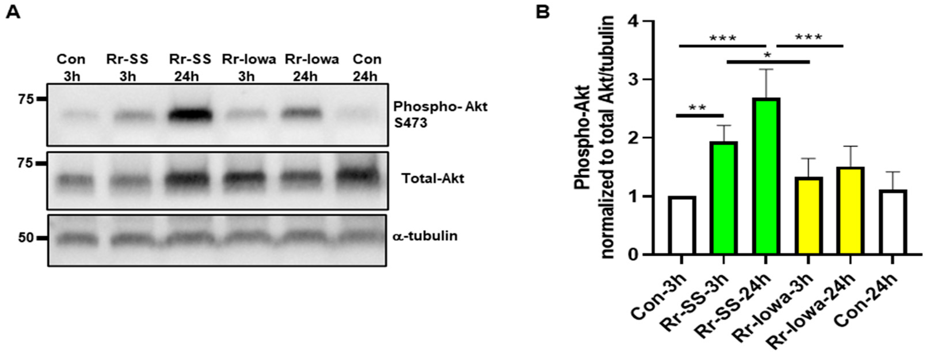 Microorganisms 12 00296 g002