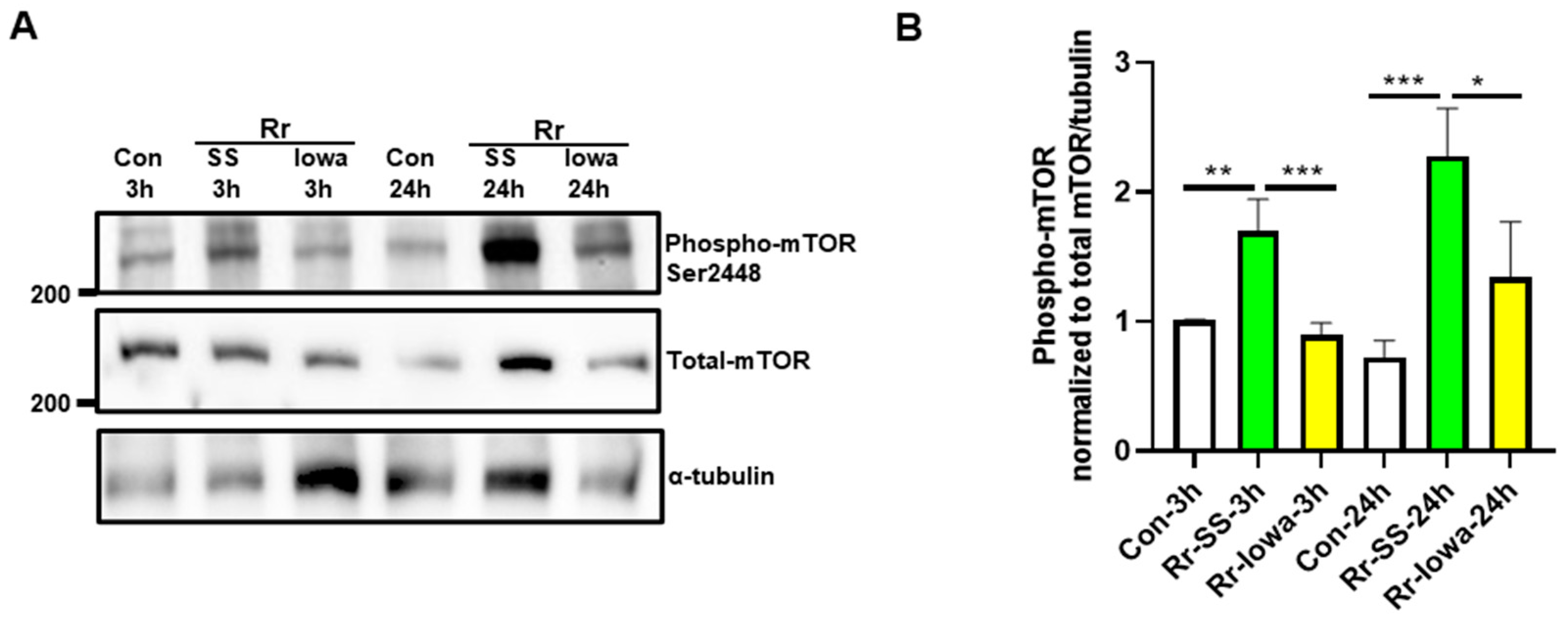 Microorganisms 12 00296 g003