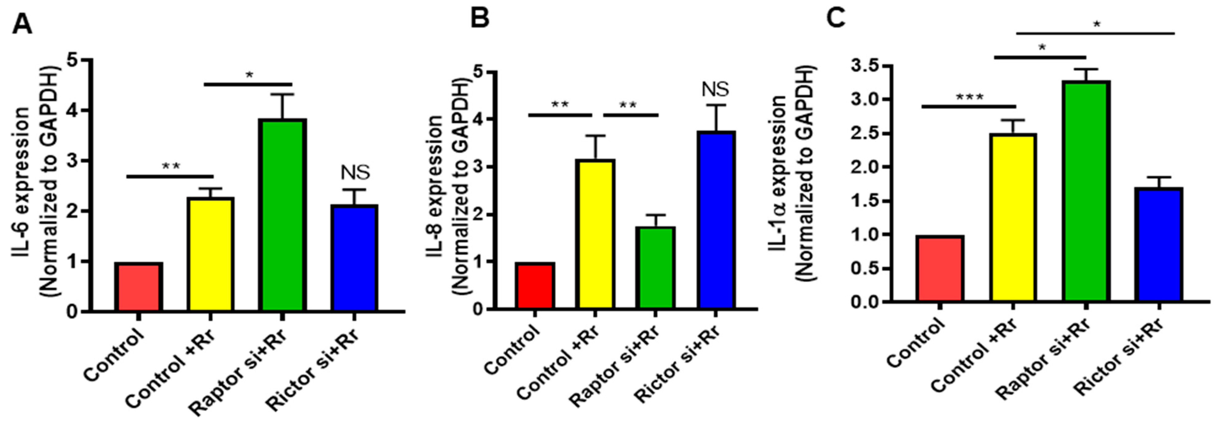 Microorganisms 12 00296 g007