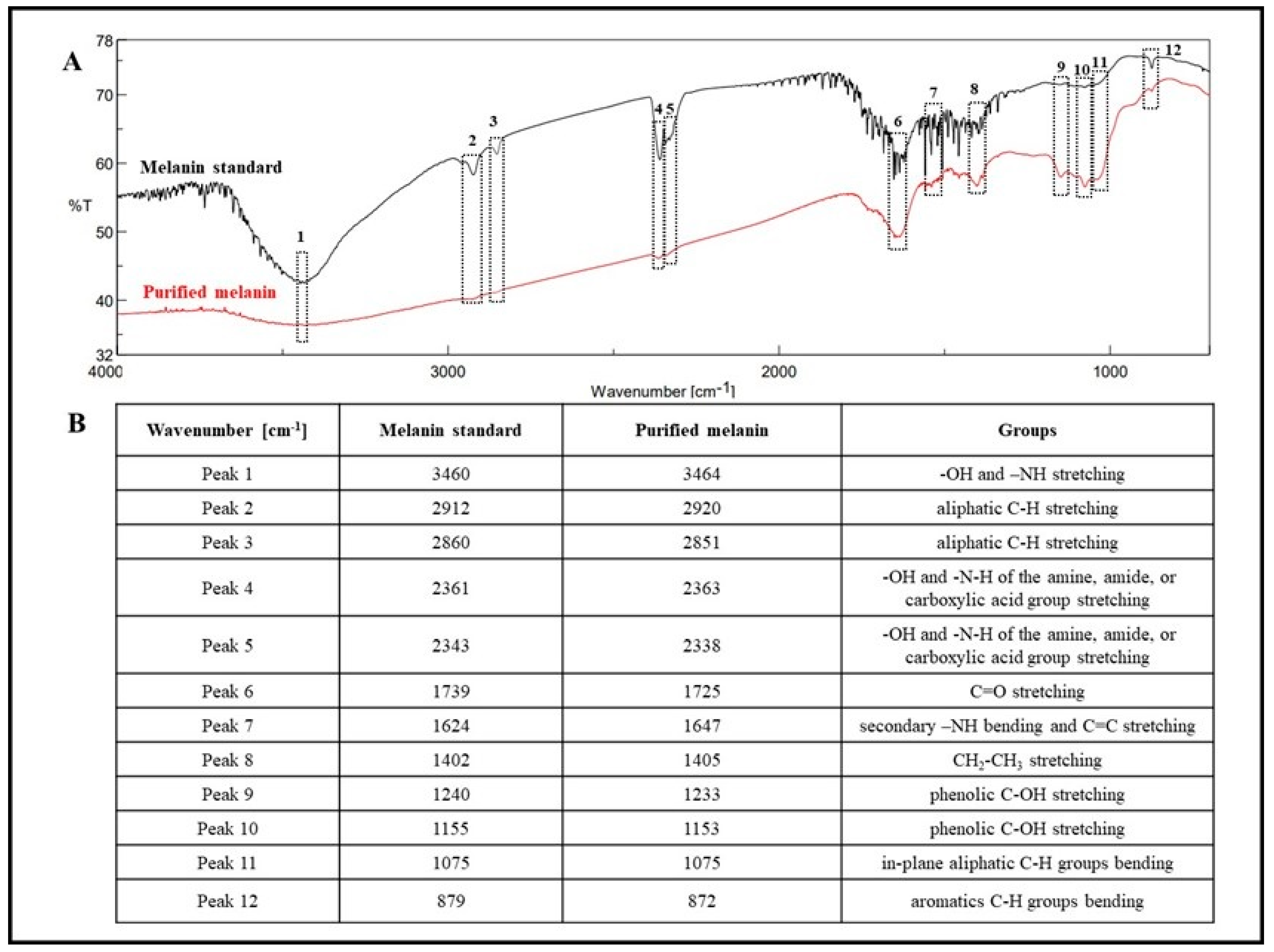 Microorganisms 12 00297 g004