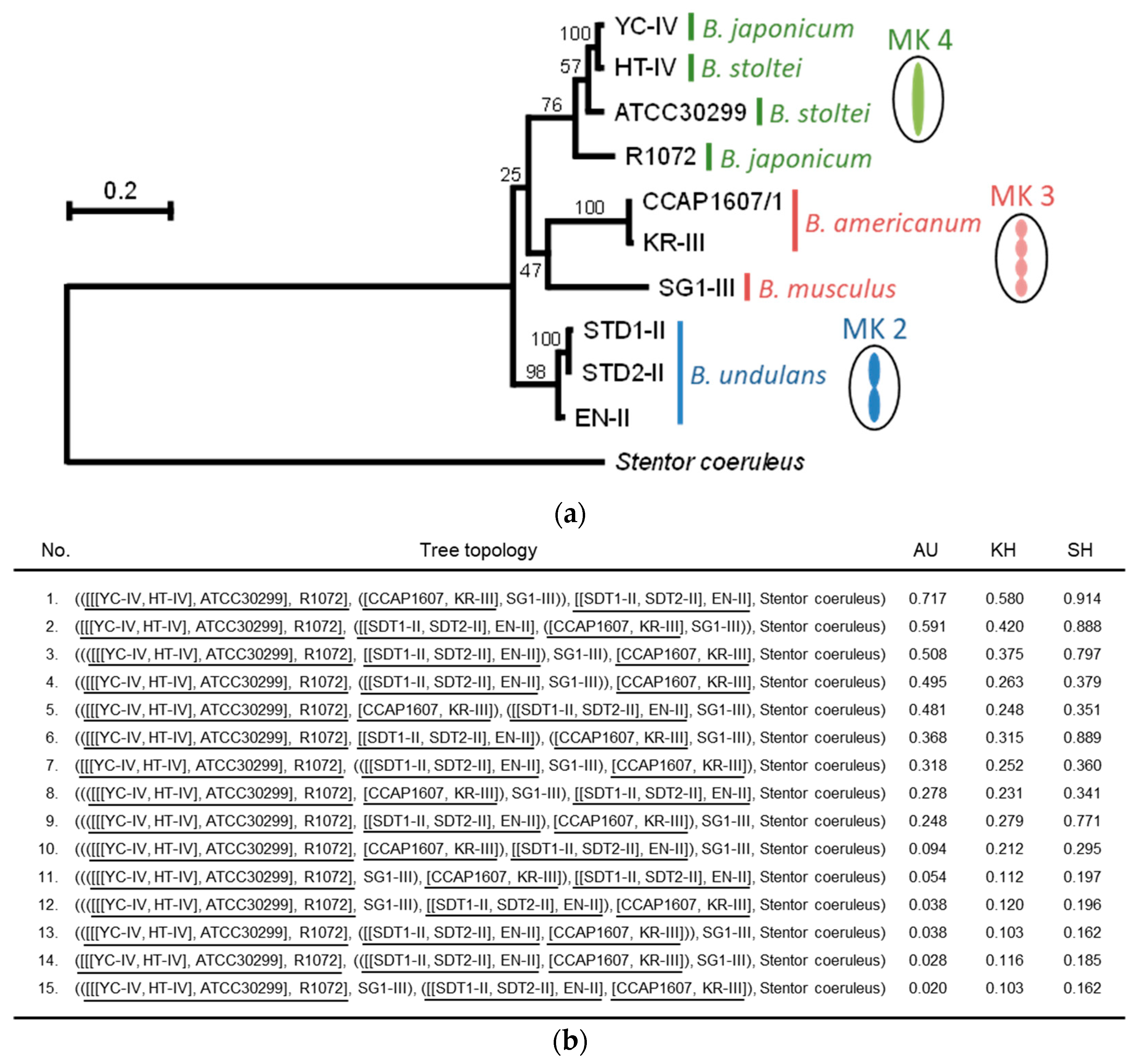 Microorganisms 12 00299 g005
