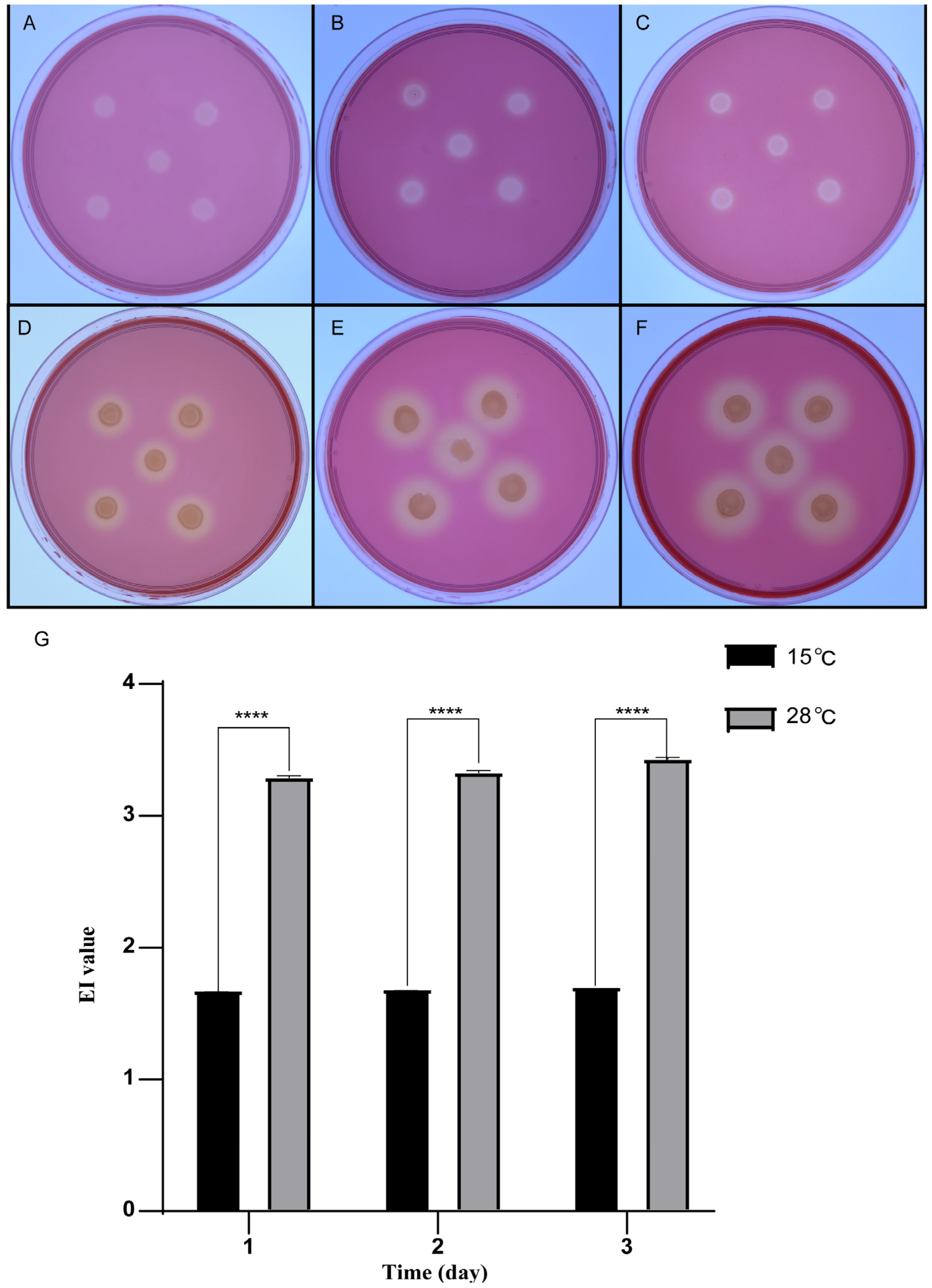 Microorganisms 12 00303 g005