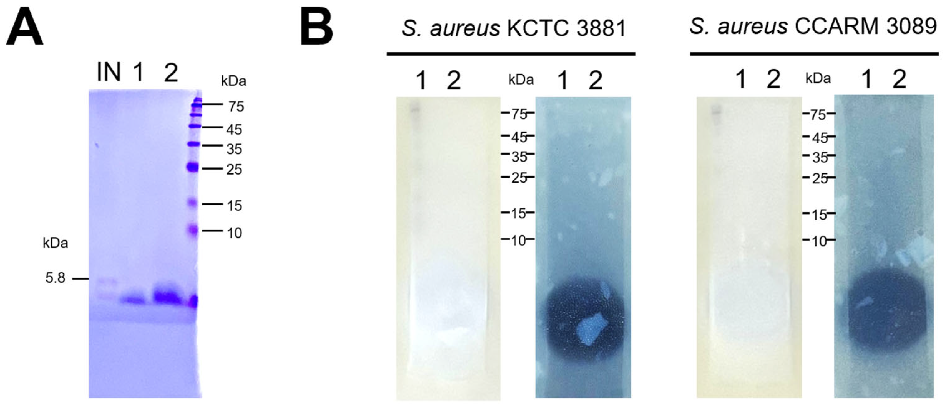 Microorganisms 12 00306 g007