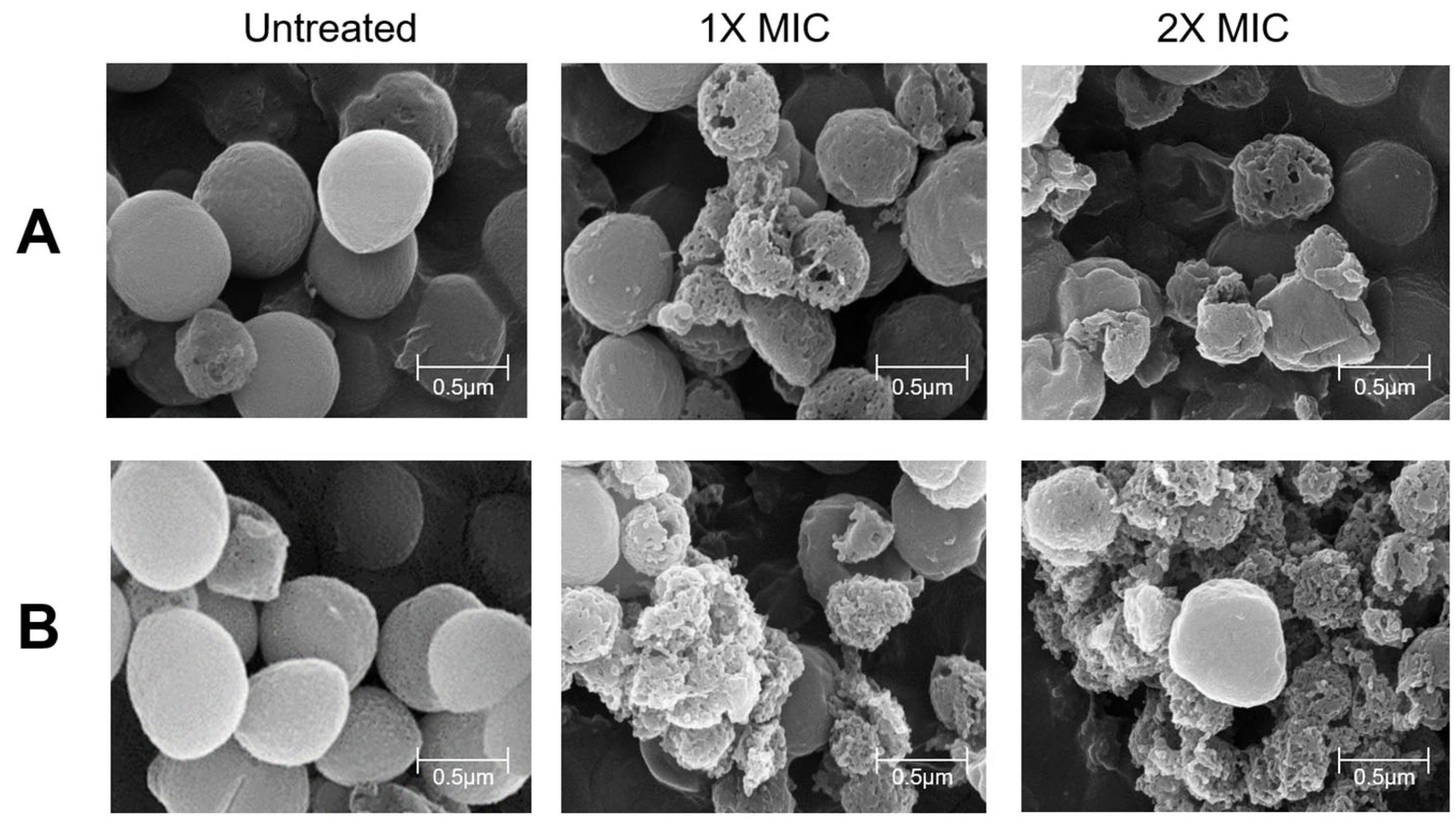 Microorganisms 12 00306 g008