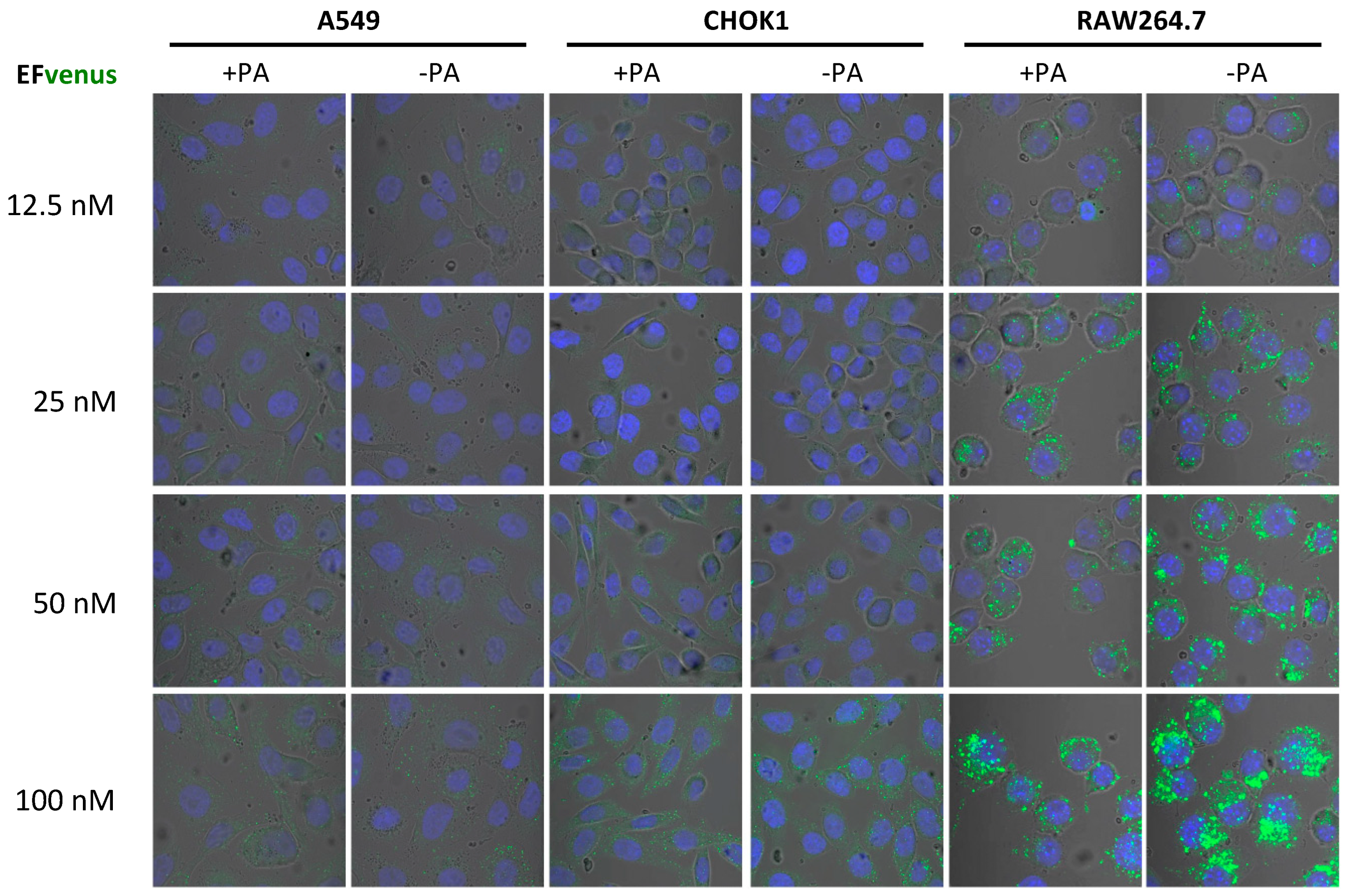 Microorganisms 12 00308 g002 Microorganisms 12 00308 g002