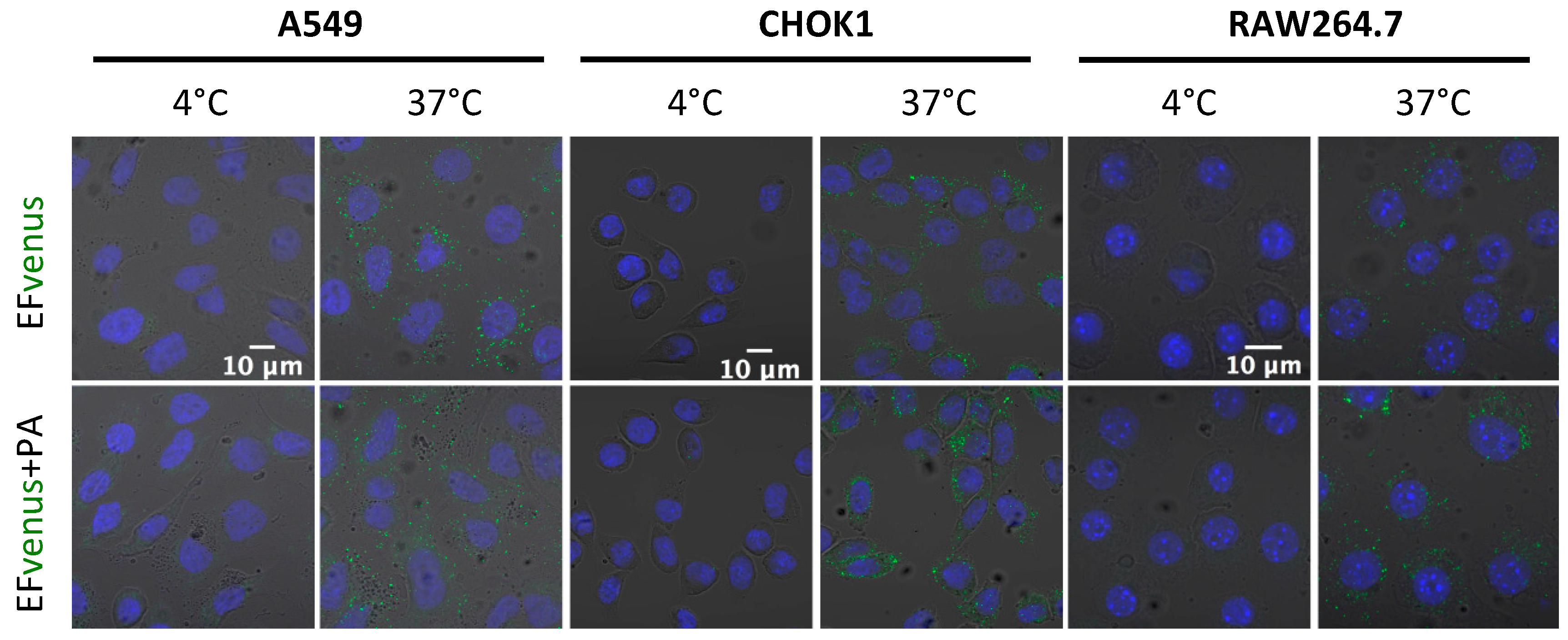 Microorganisms 12 00308 g006 Microorganisms 12 00308 g006