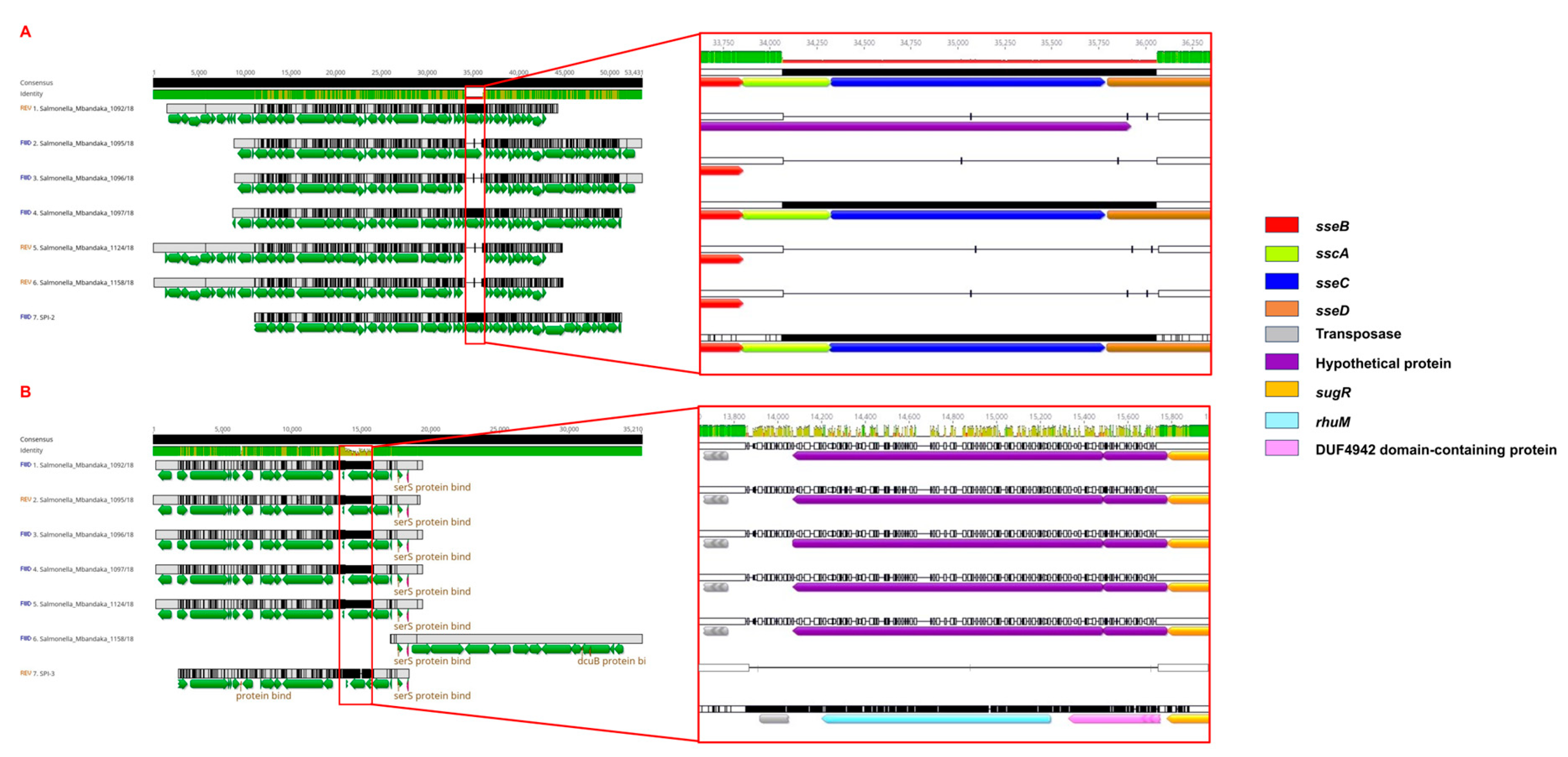 Microorganisms 12 00312 g004 Microorganisms 12 00312 g004