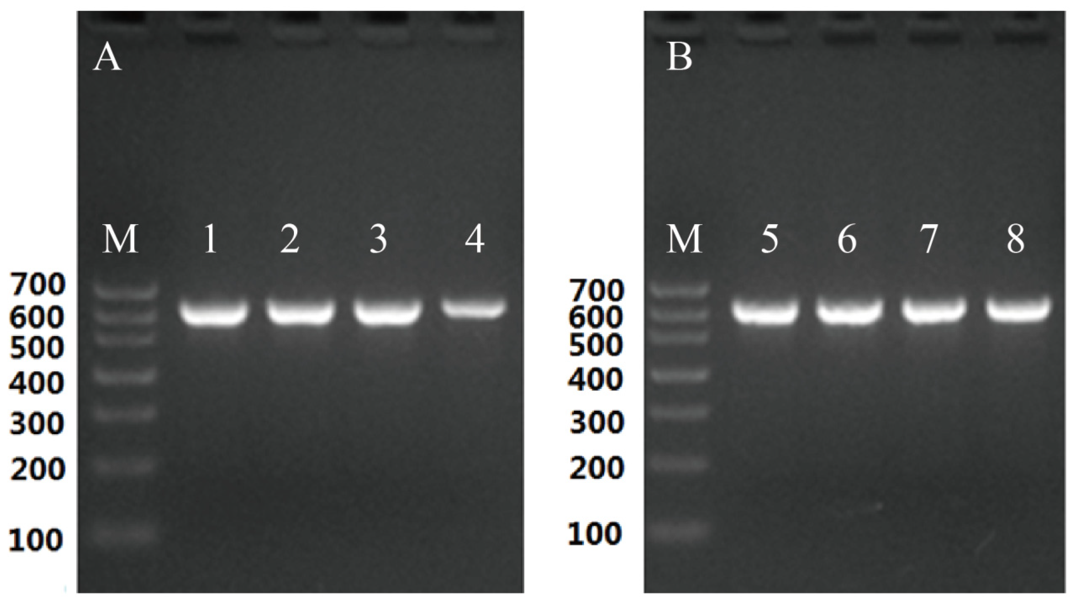 Microorganisms 12 00313 g003 Microorganisms 12 00313 g003