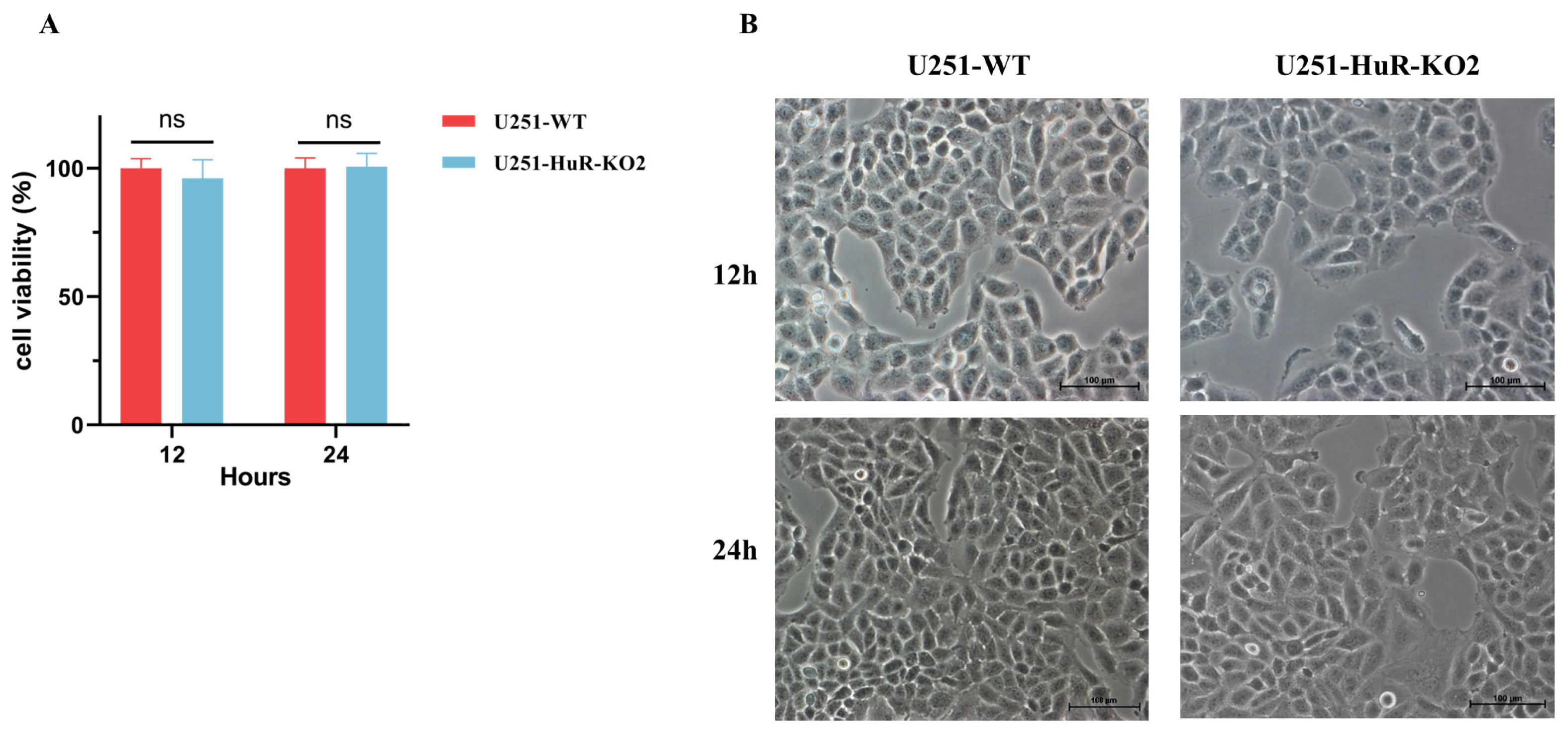 Microorganisms 12 00314 g002
