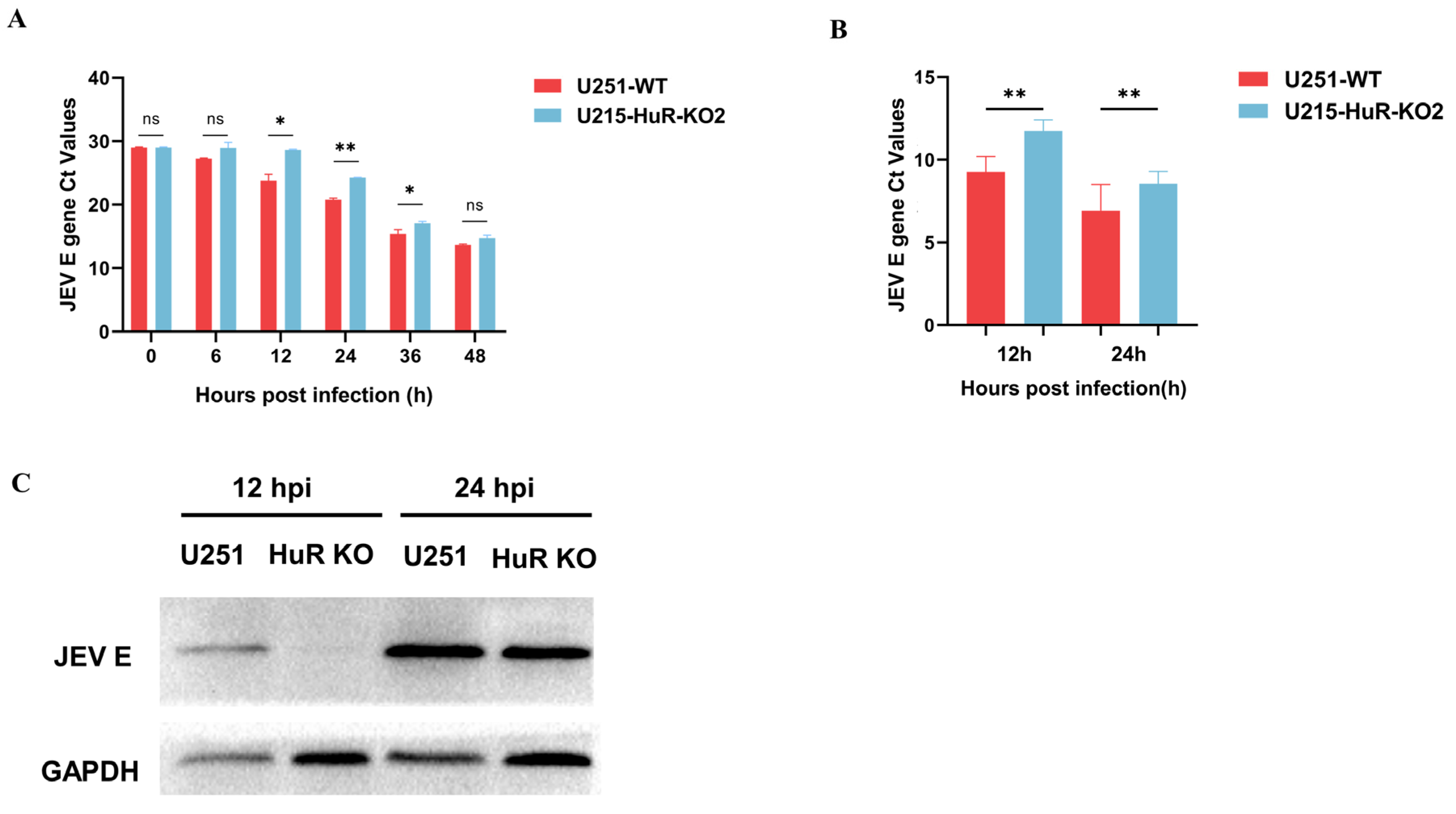 Microorganisms 12 00314 g003
