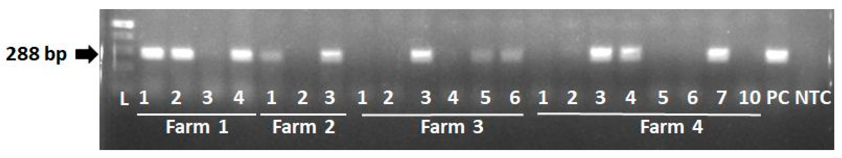 Microorganisms 12 00315 g003