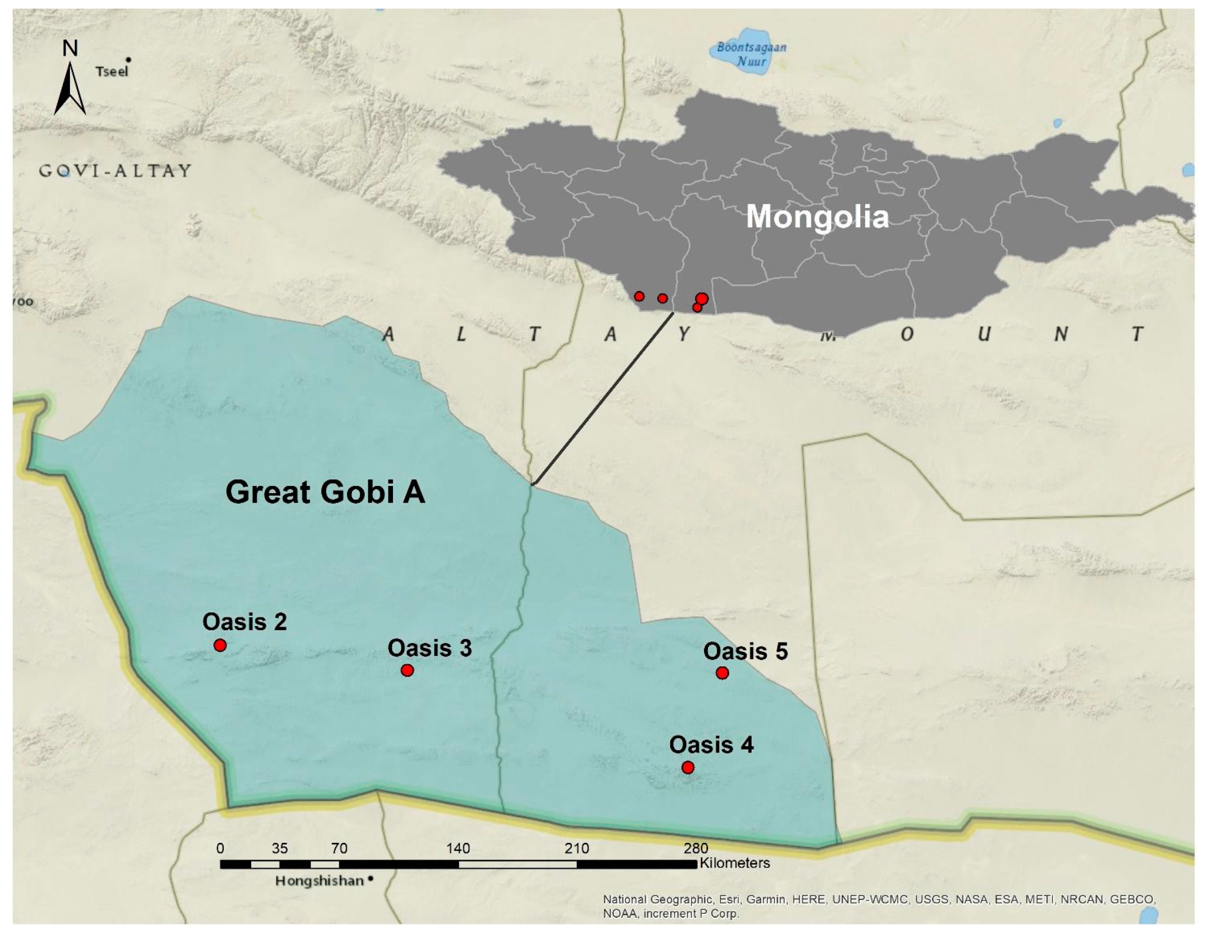Microorganisms 12 00320 g001