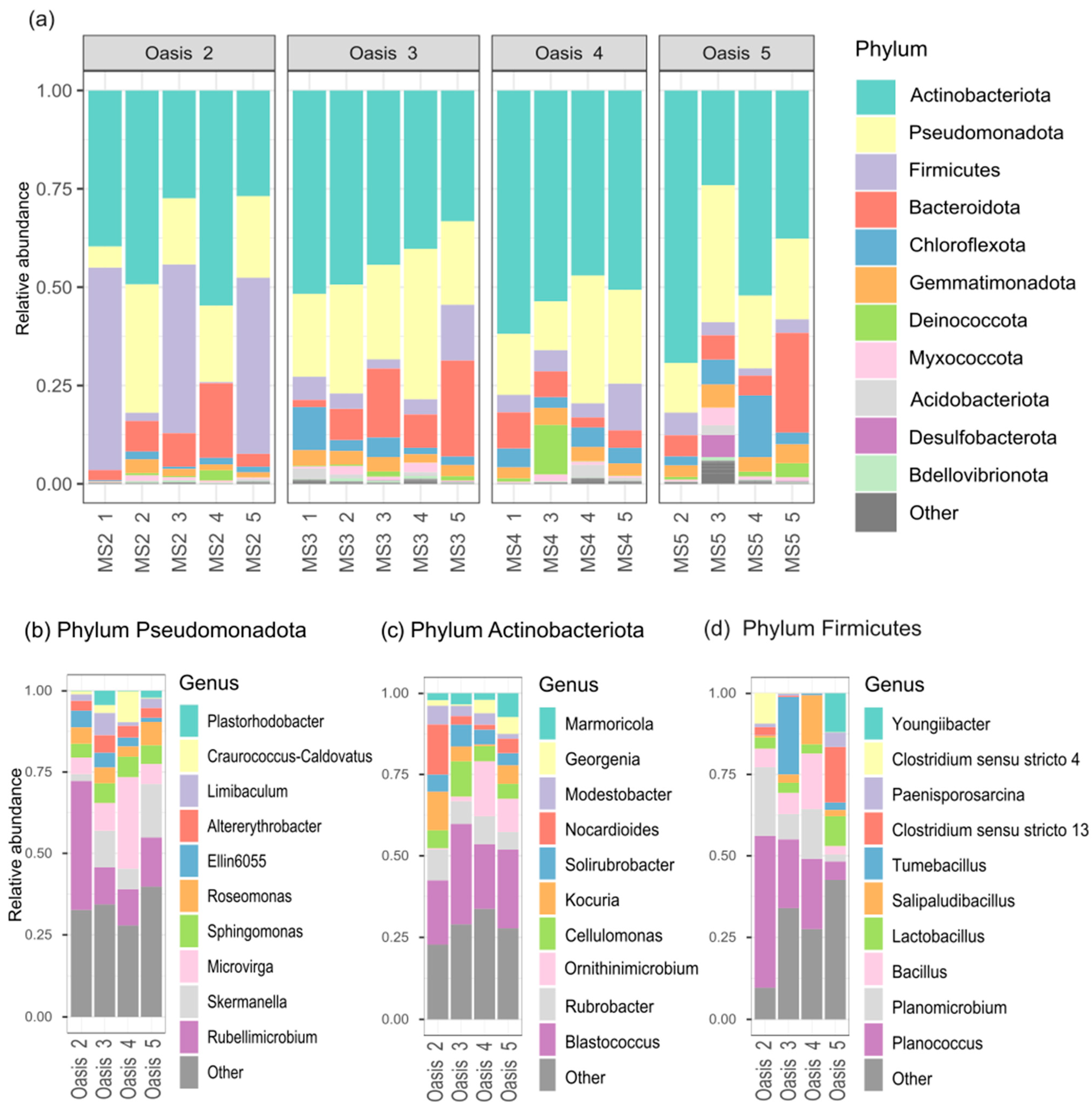 Microorganisms 12 00320 g003