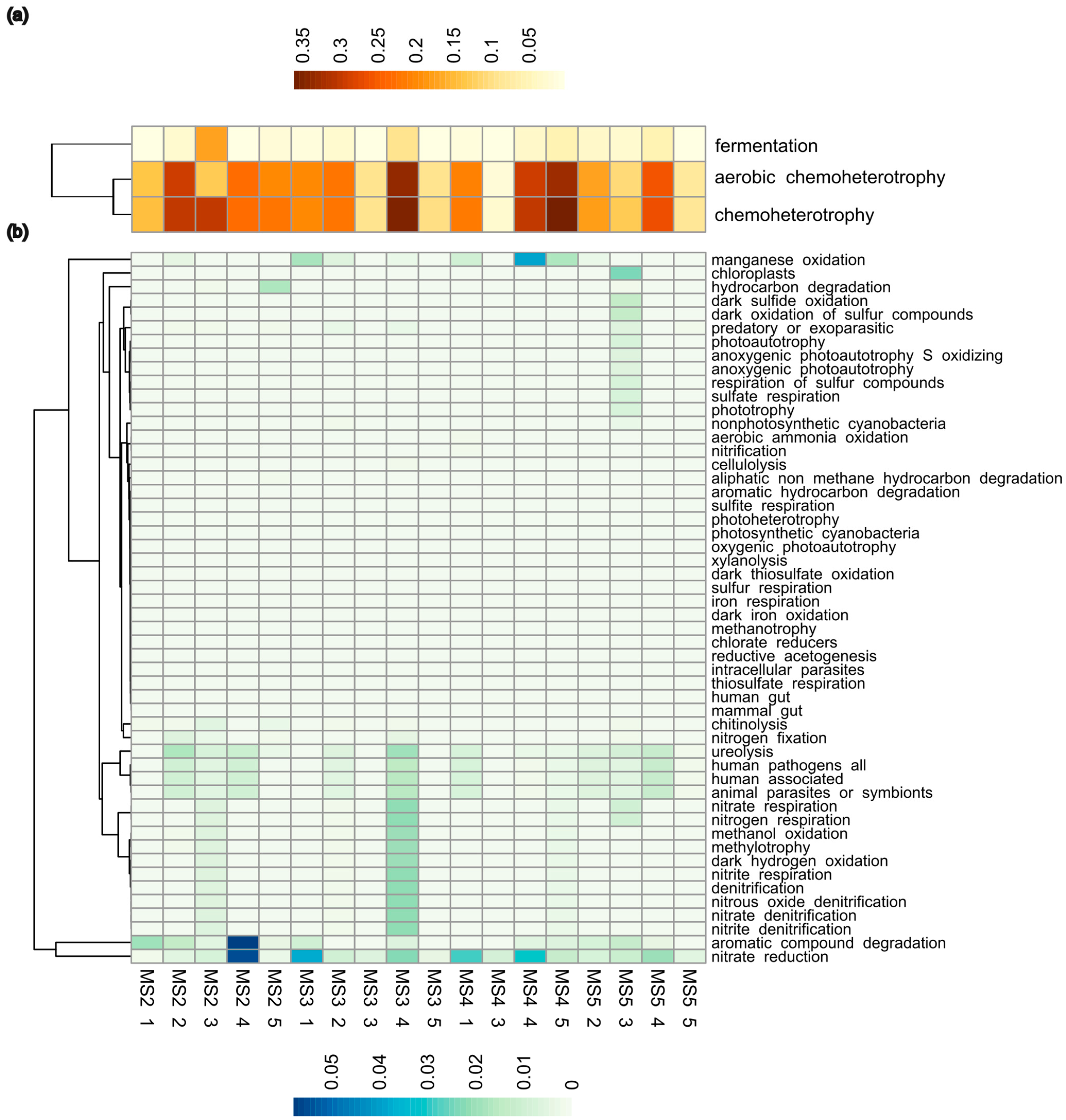 Microorganisms 12 00320 g006