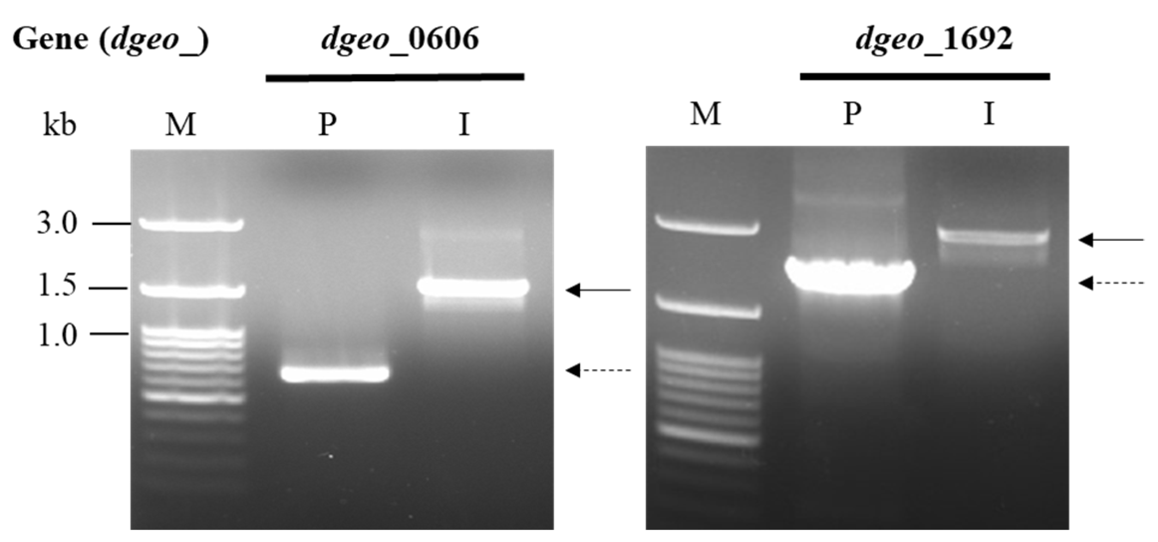 Microorganisms 12 00328 g001