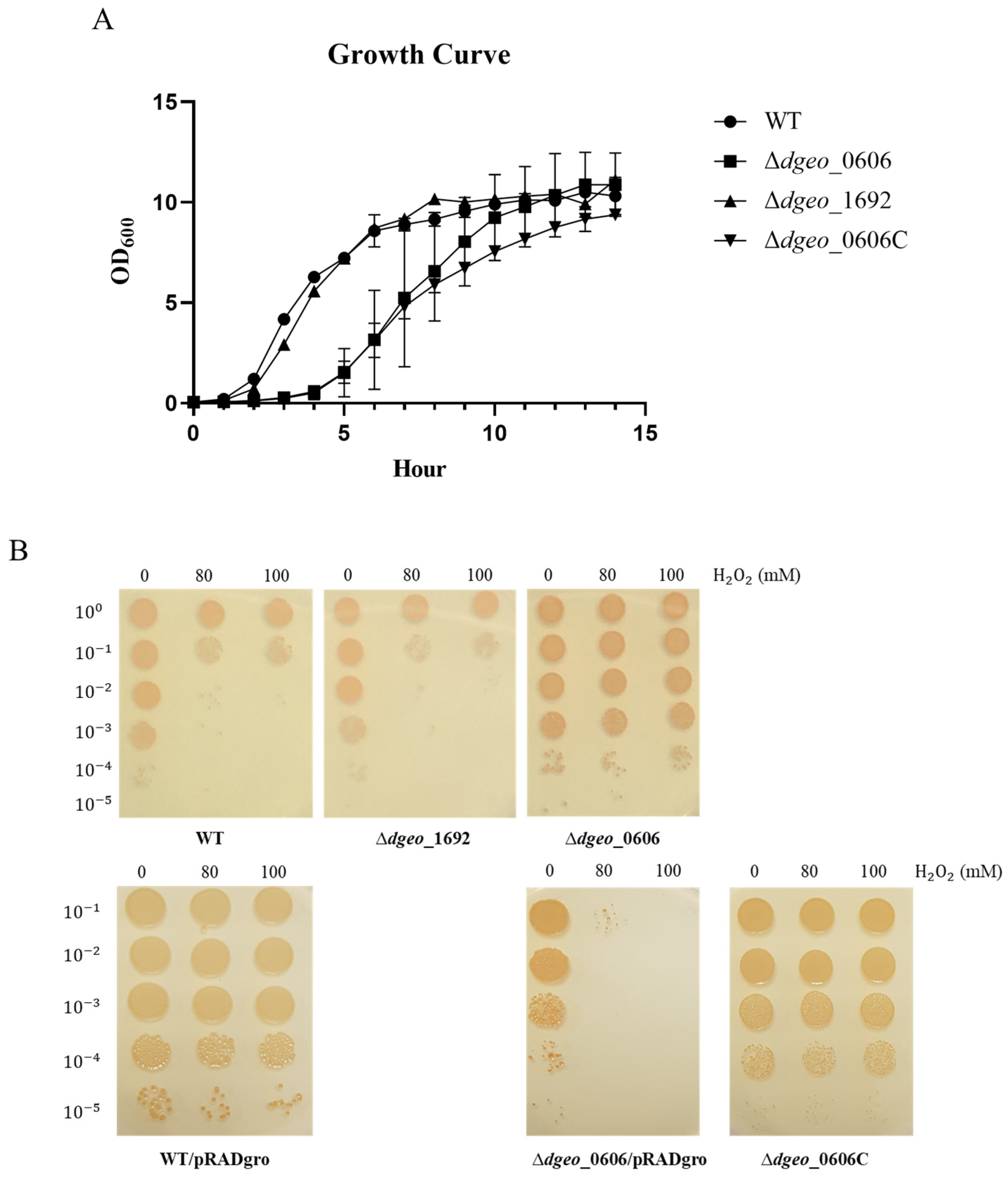 Microorganisms 12 00328 g002