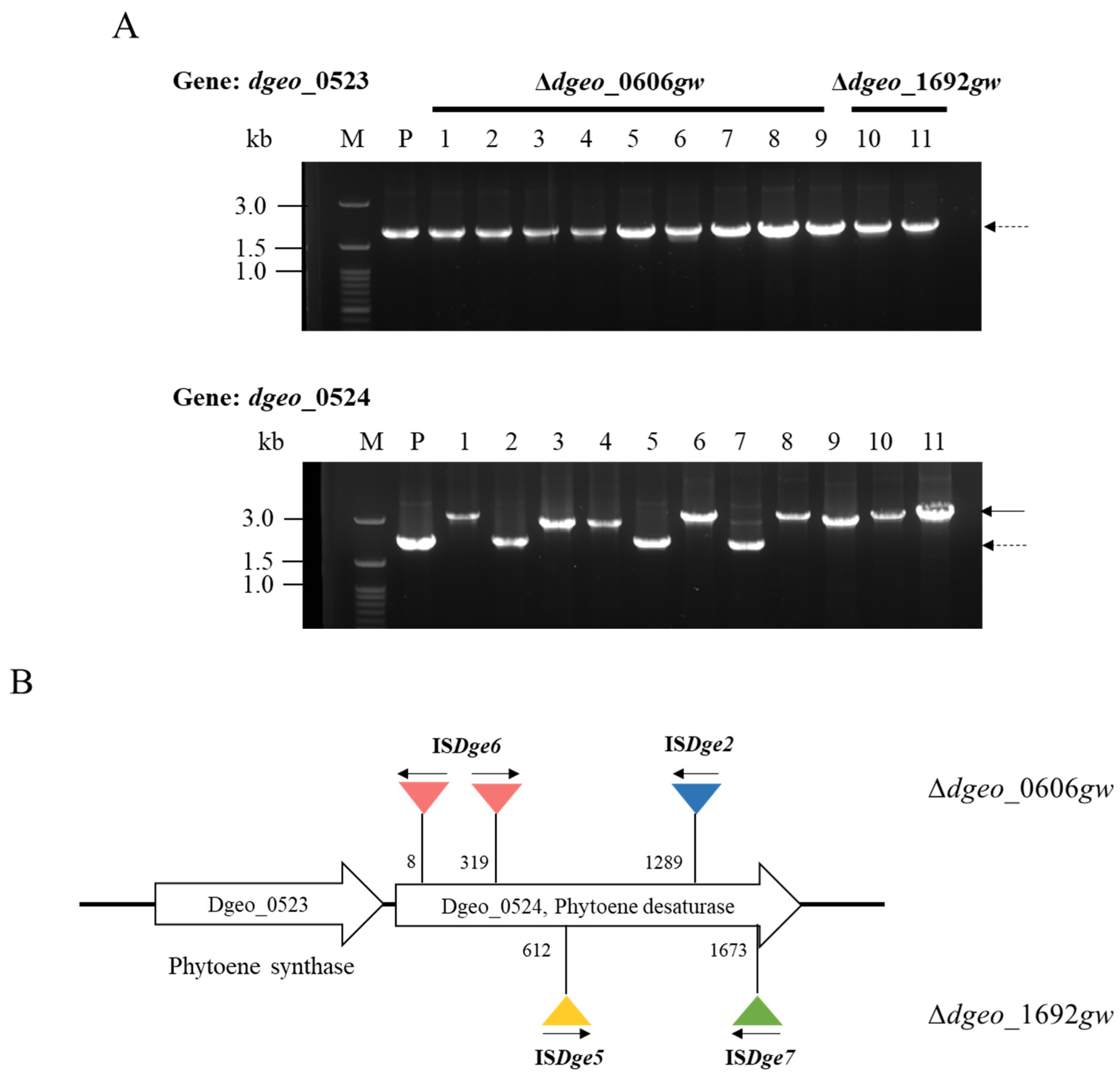Microorganisms 12 00328 g003