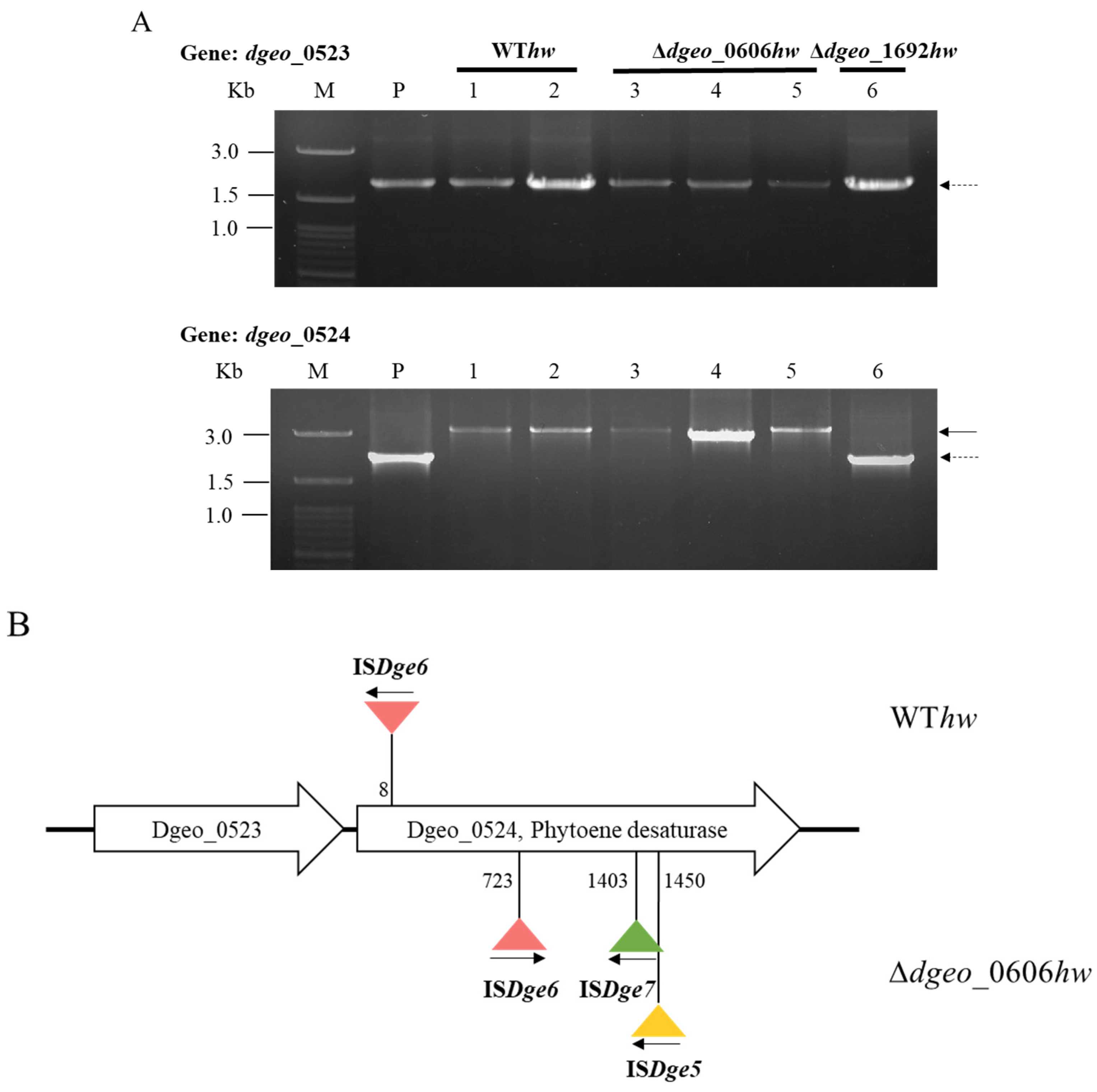 Microorganisms 12 00328 g004
