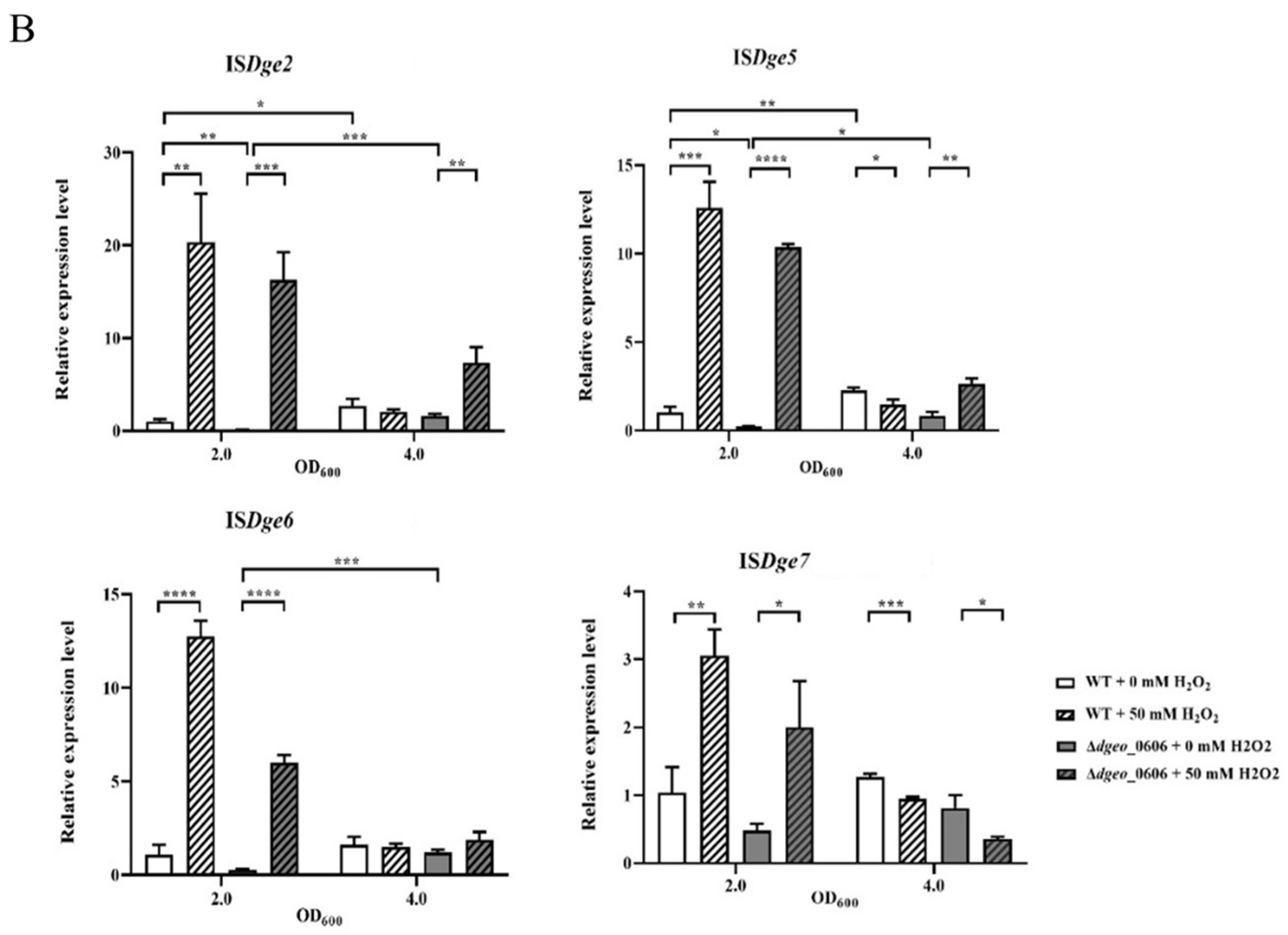 Microorganisms 12 00328 g005b