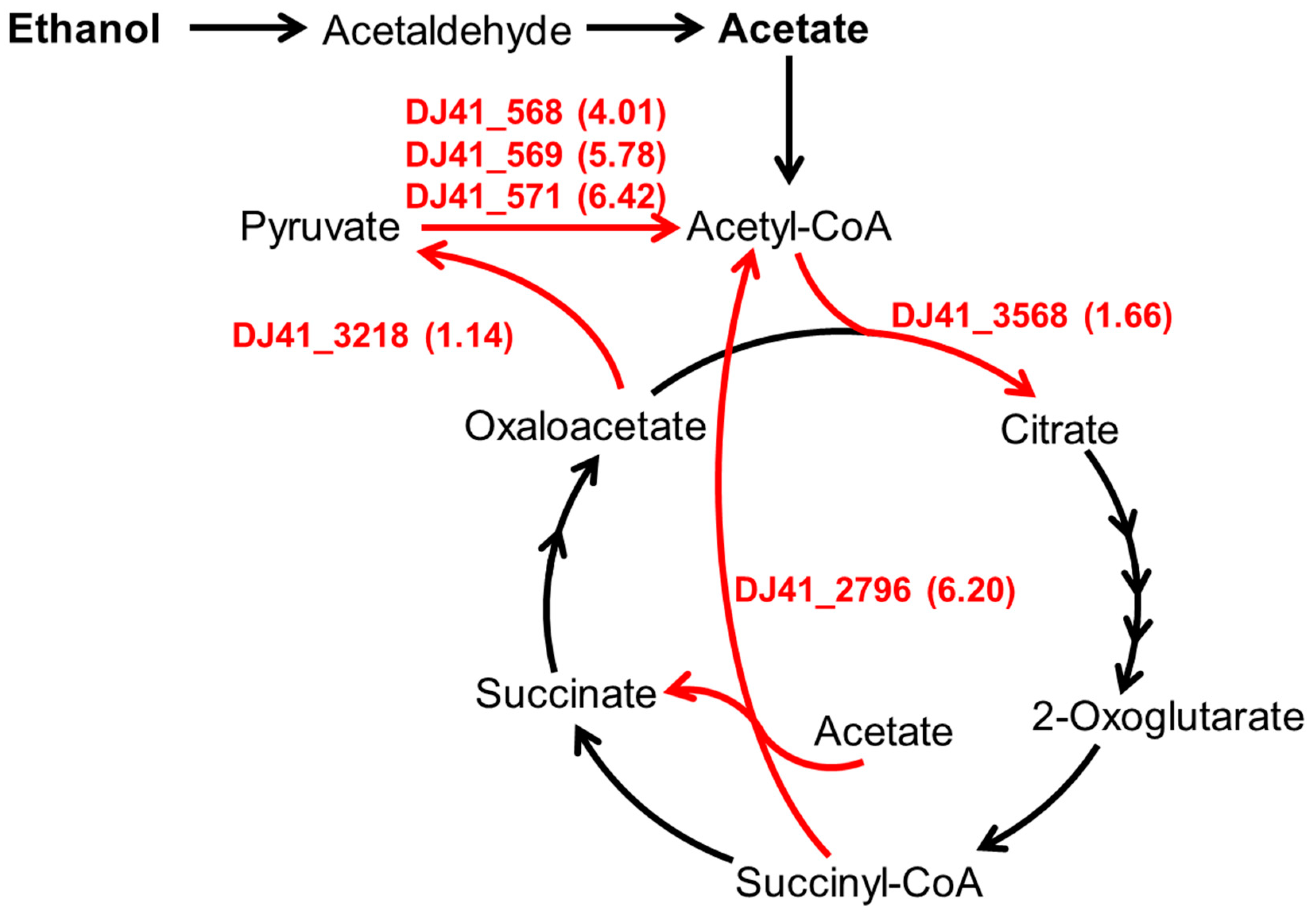 Microorganisms 12 00331 g001 Microorganisms 12 00331 g001