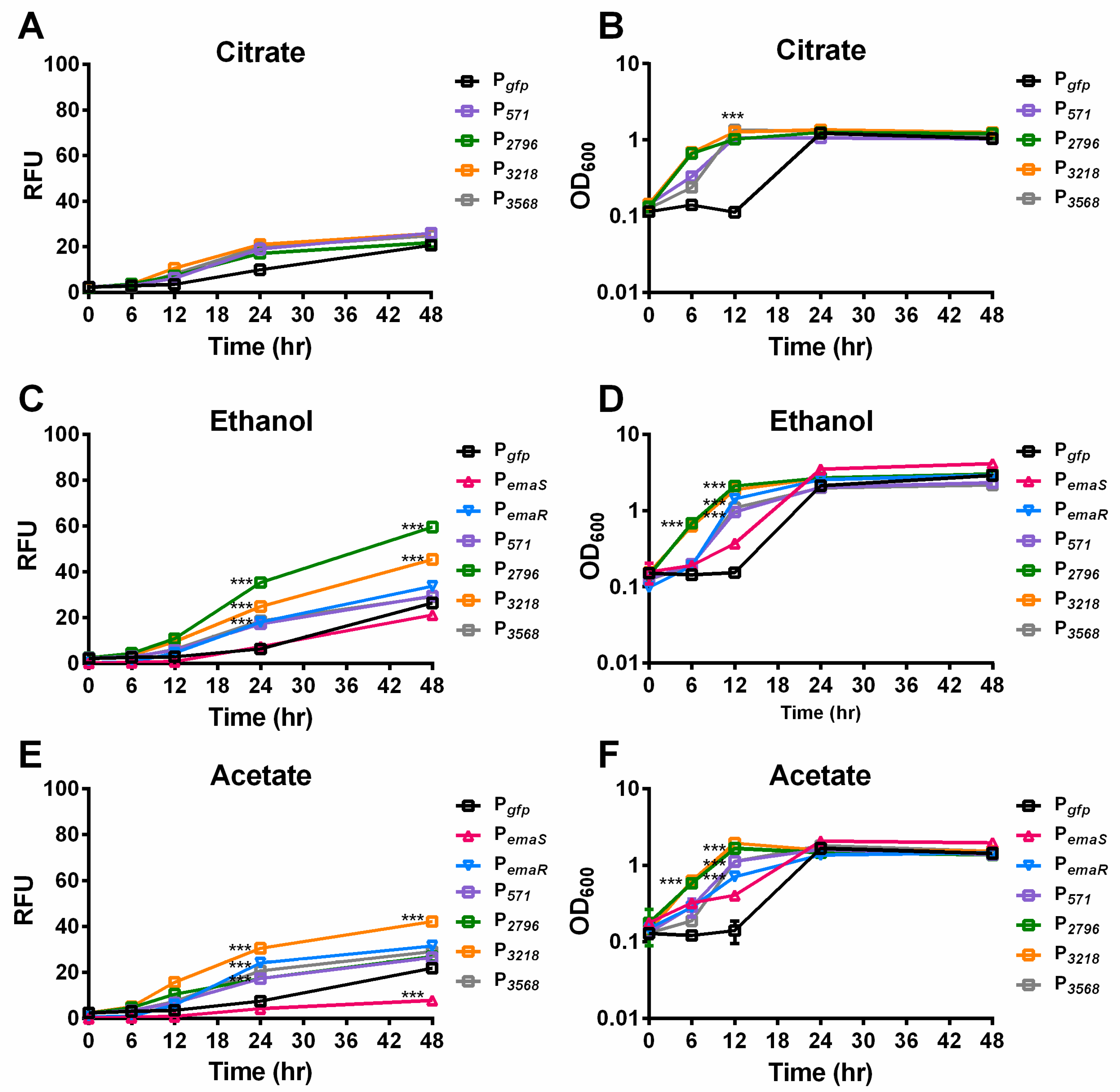Microorganisms 12 00331 g002 Microorganisms 12 00331 g002