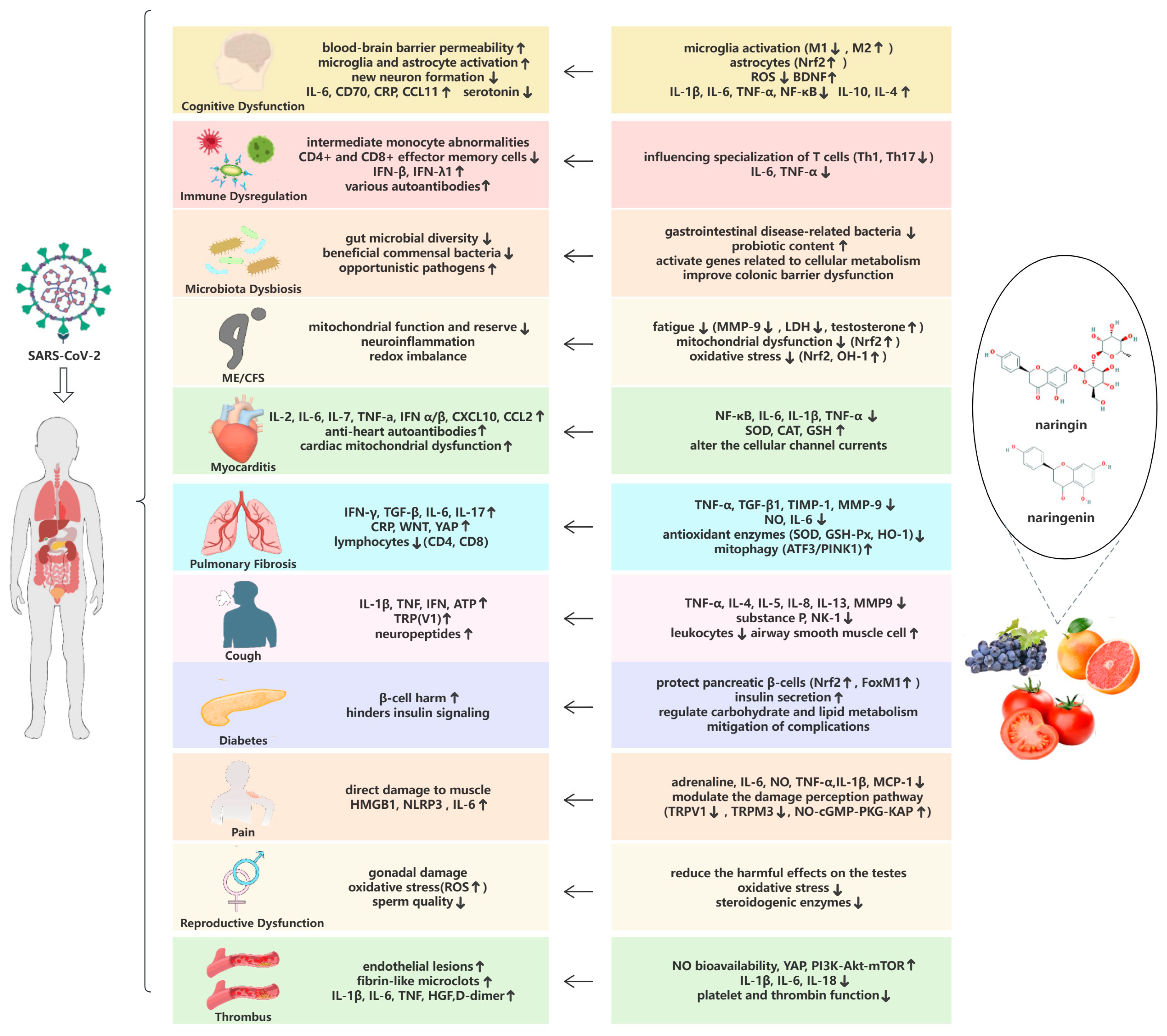 Microorganisms 12 00332 g003