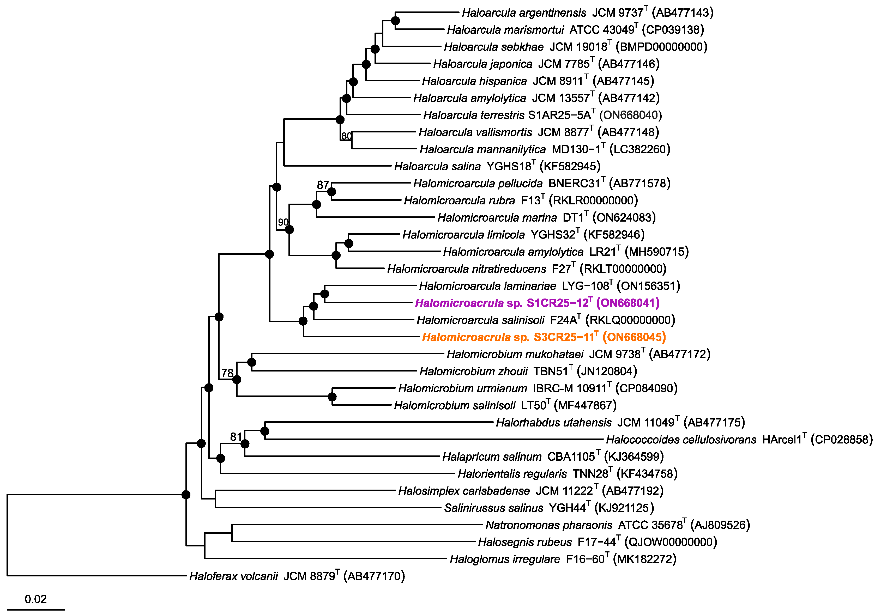 Microorganisms 12 00334 g002