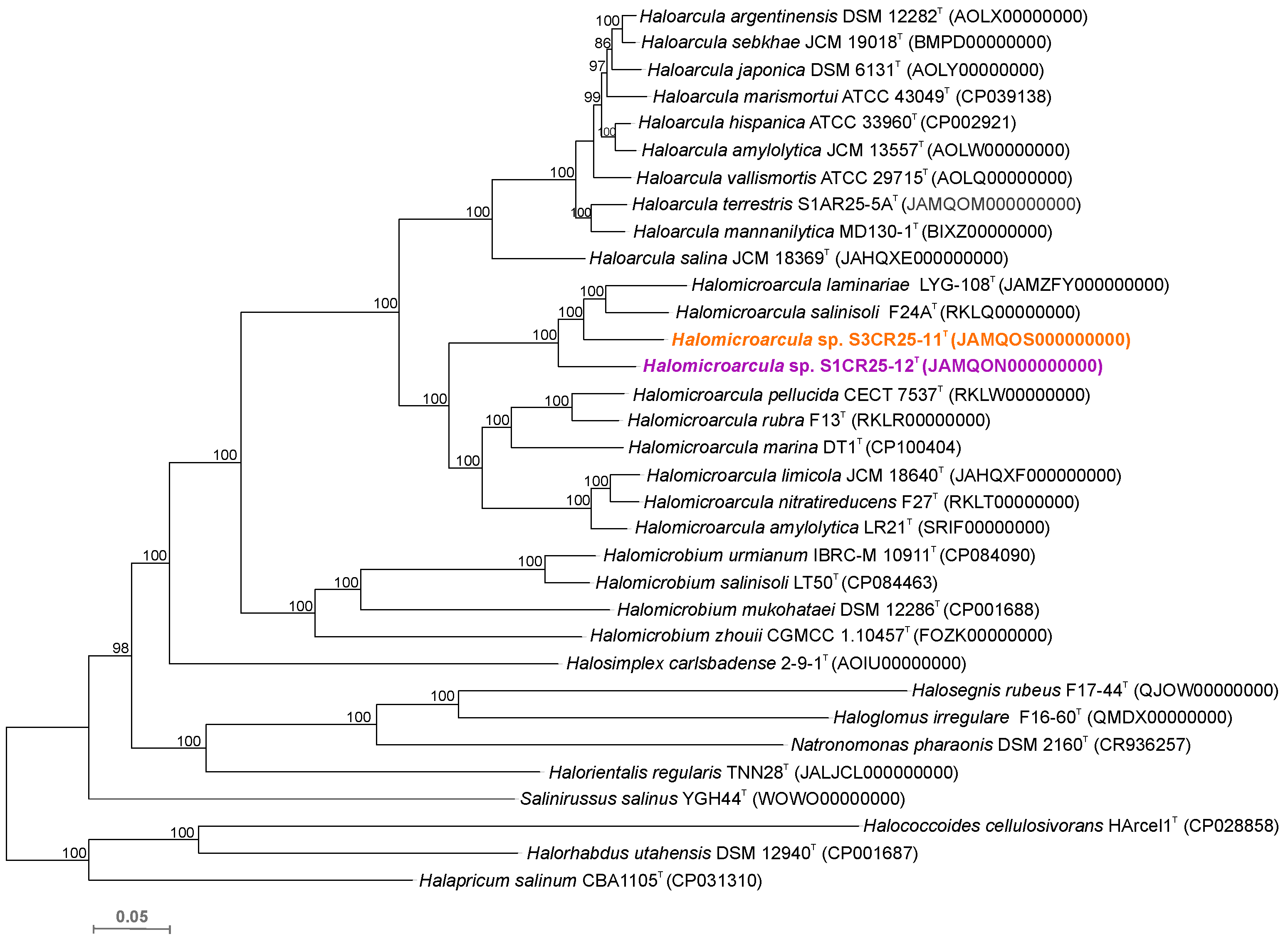 Microorganisms 12 00334 g003