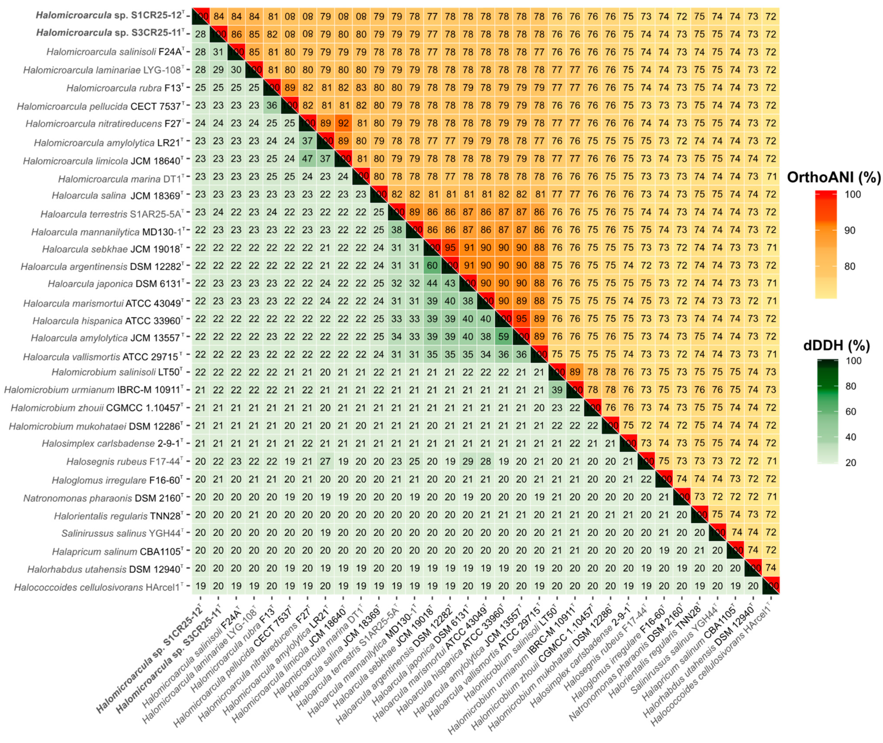 Microorganisms 12 00334 g004