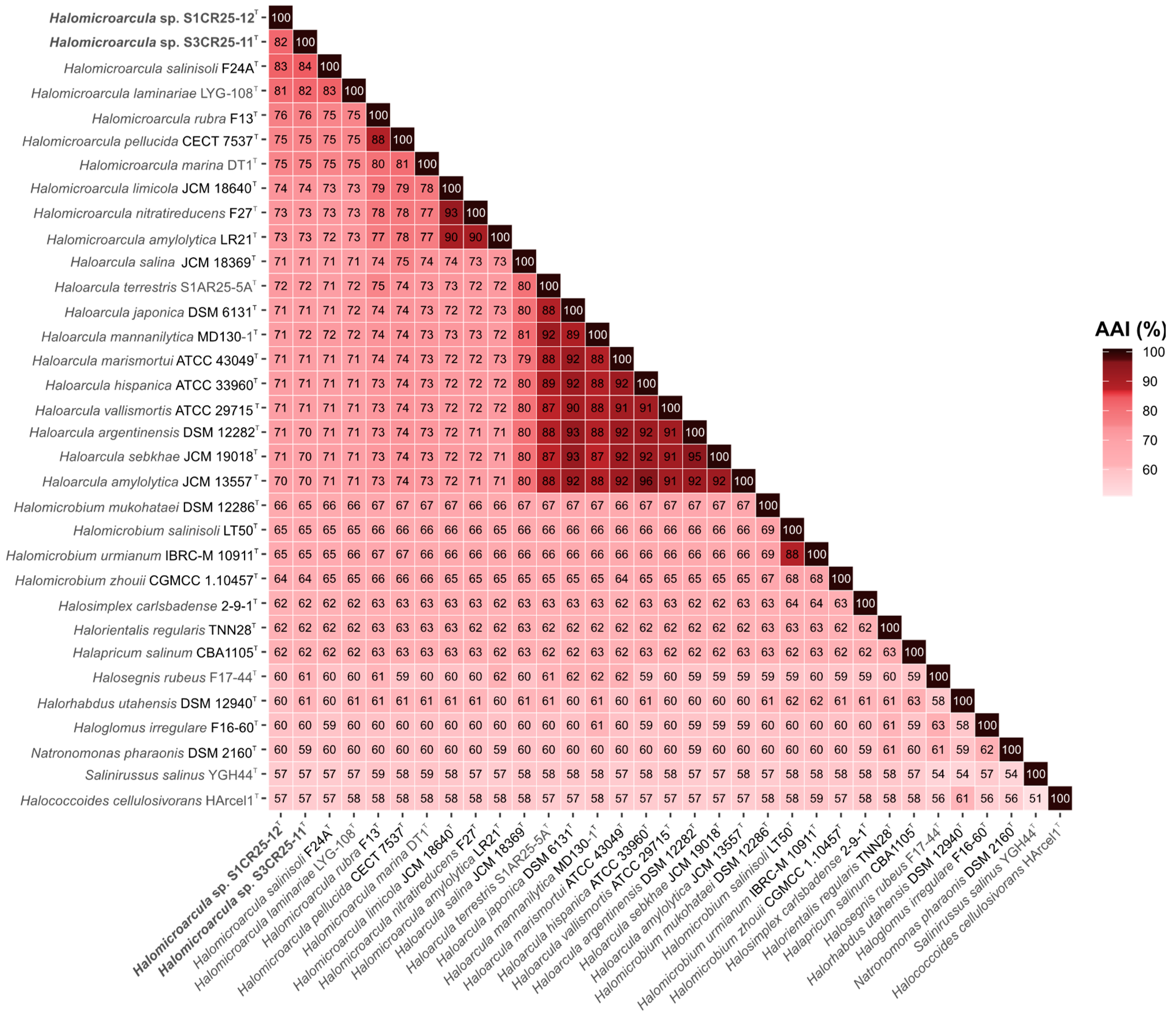 Microorganisms 12 00334 g005