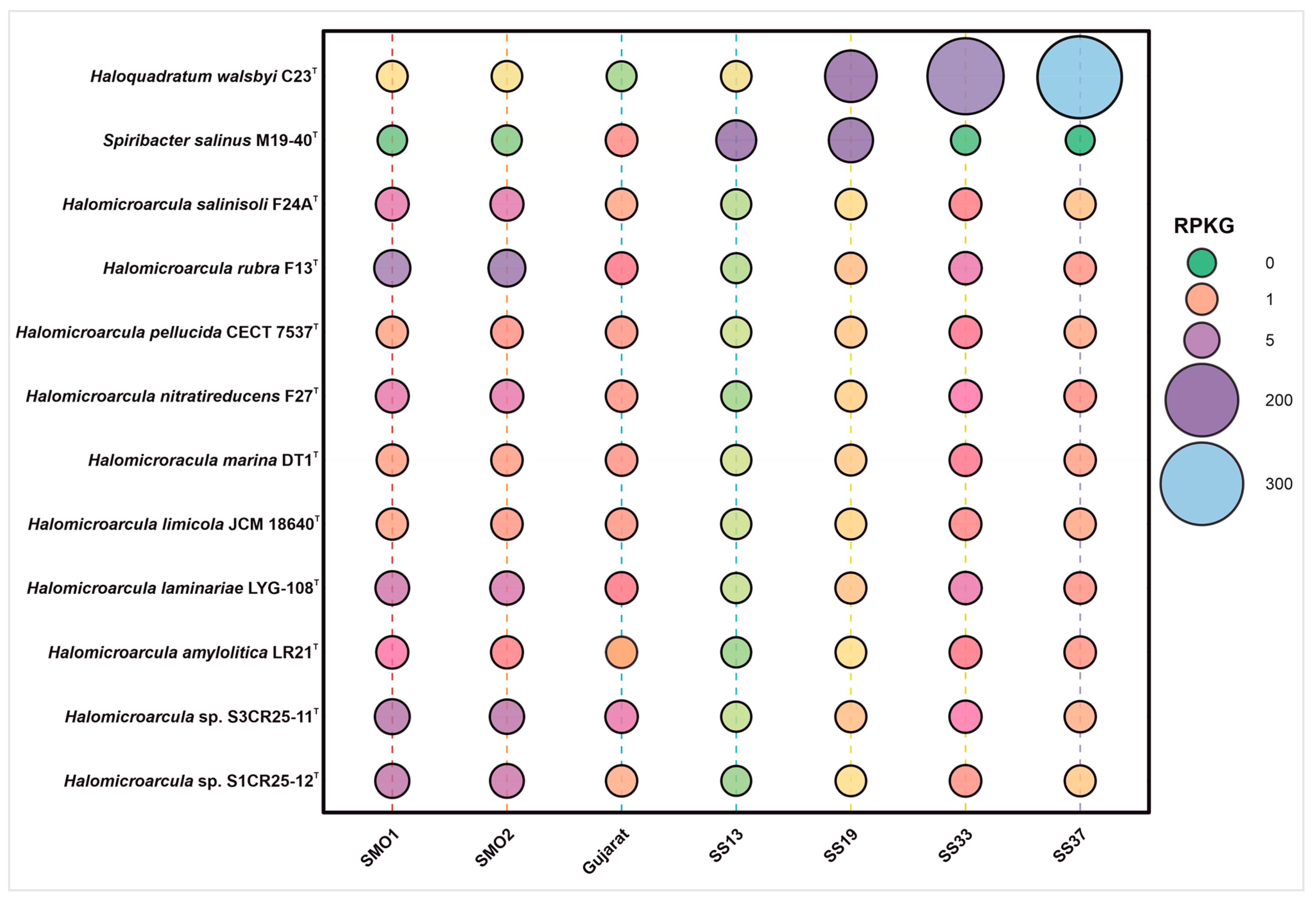 Microorganisms 12 00334 g010