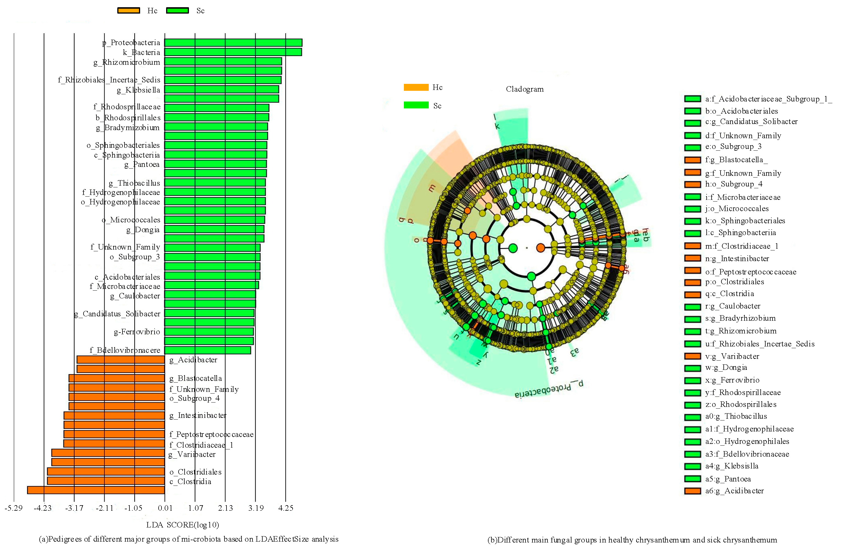 Microorganisms 12 00337 g004