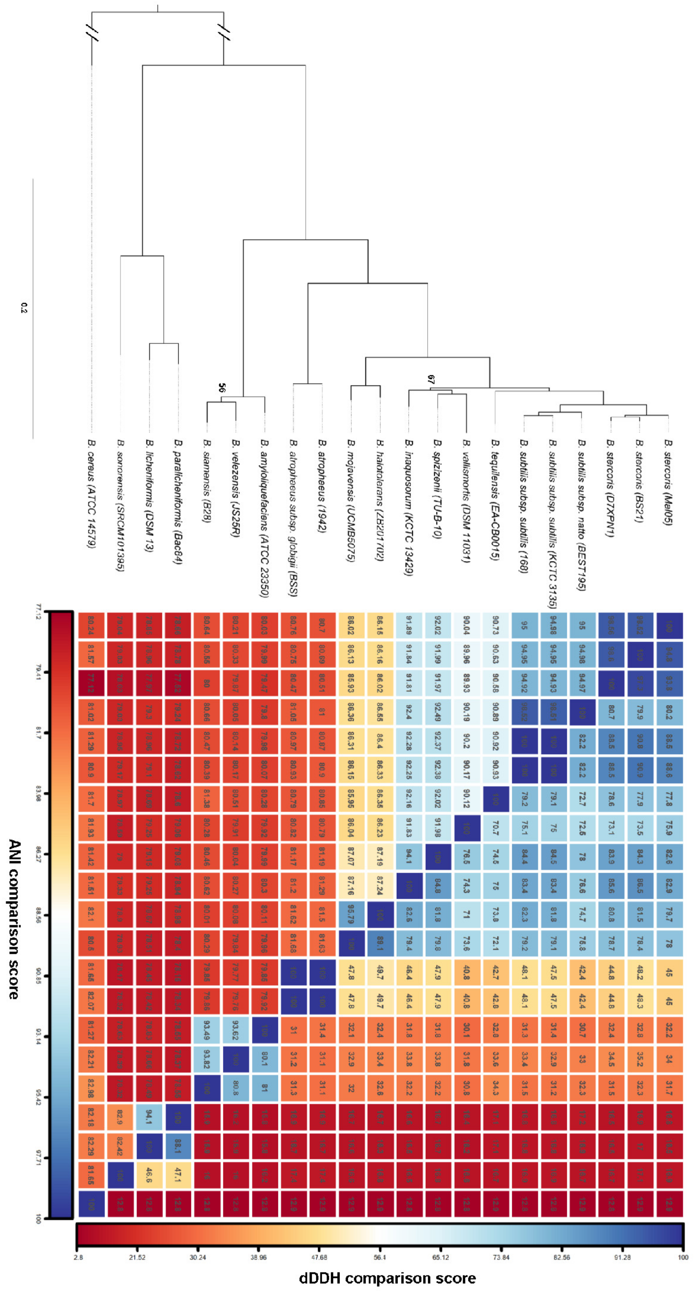 Microorganisms 12 00338 g002