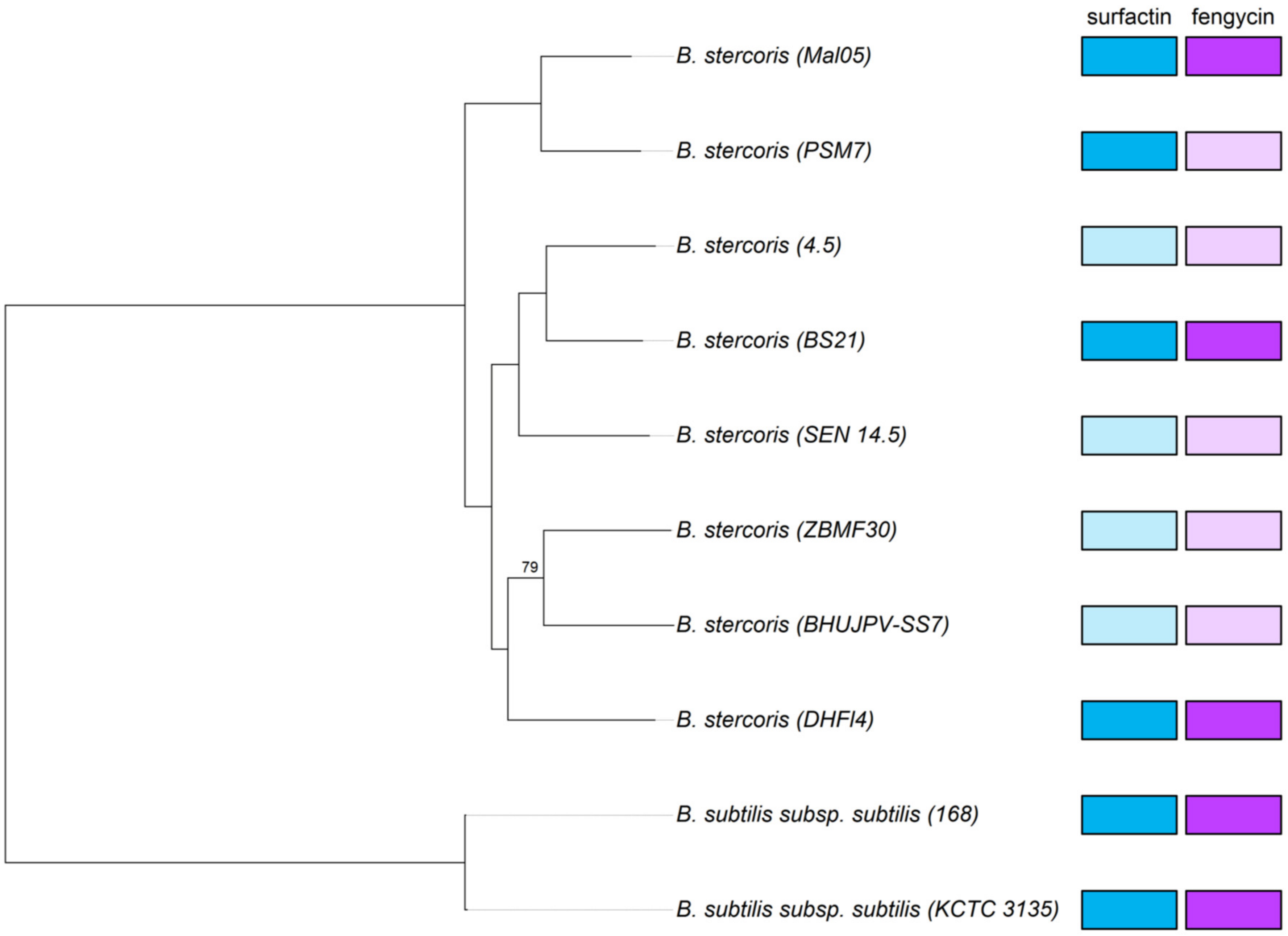 Microorganisms 12 00338 g003