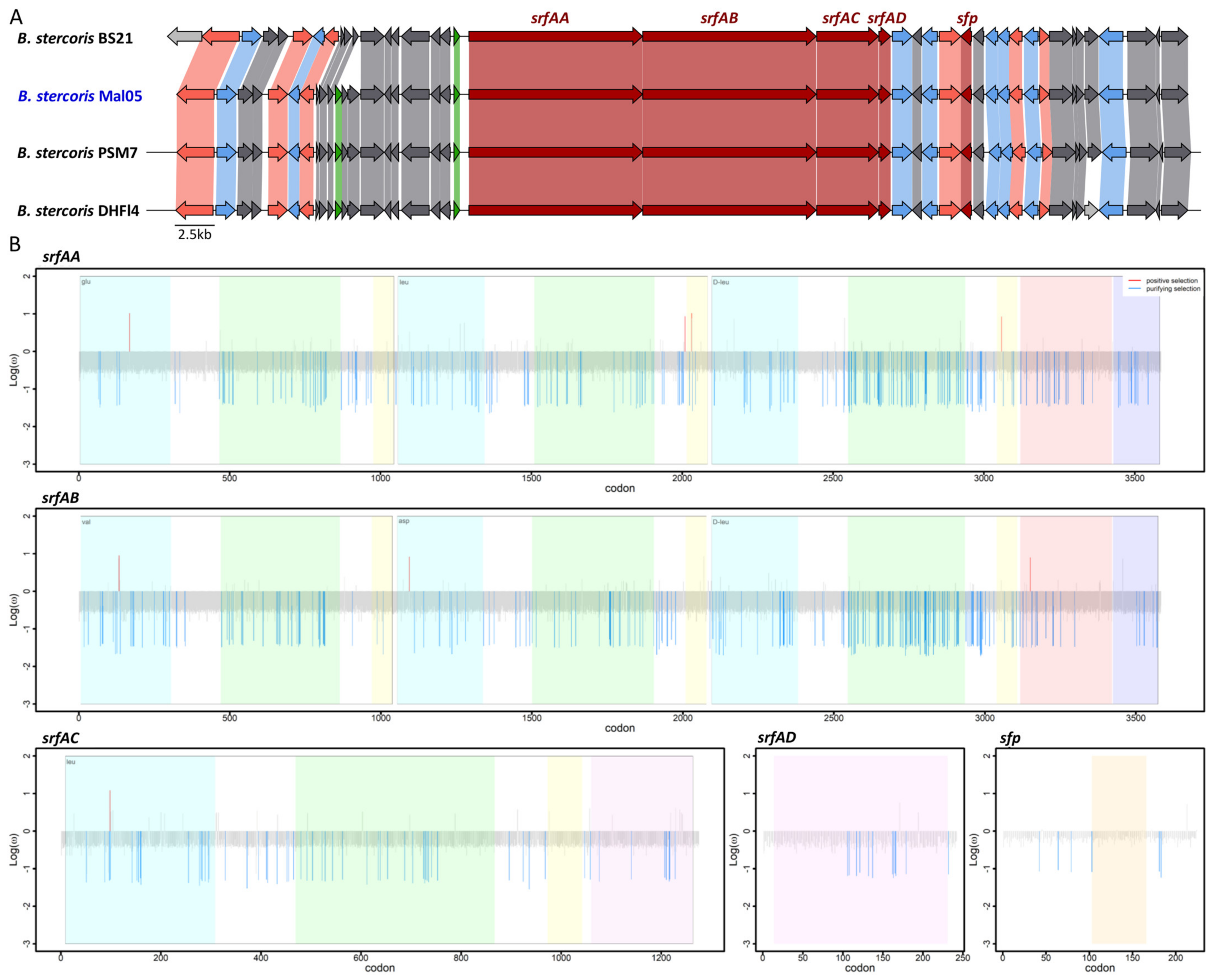 Microorganisms 12 00338 g004
