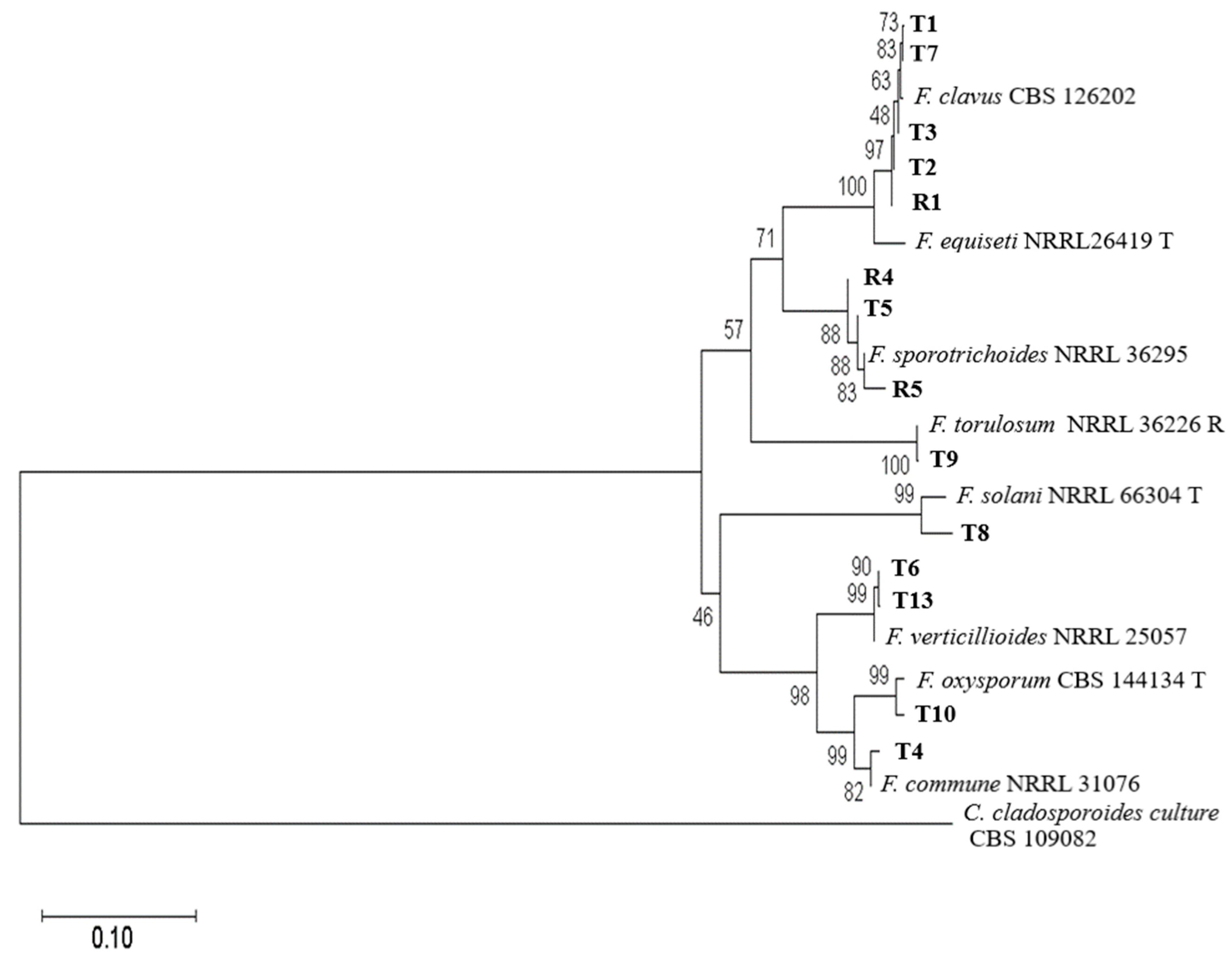 Microorganisms 12 00343 g003 Microorganisms 12 00343 g003