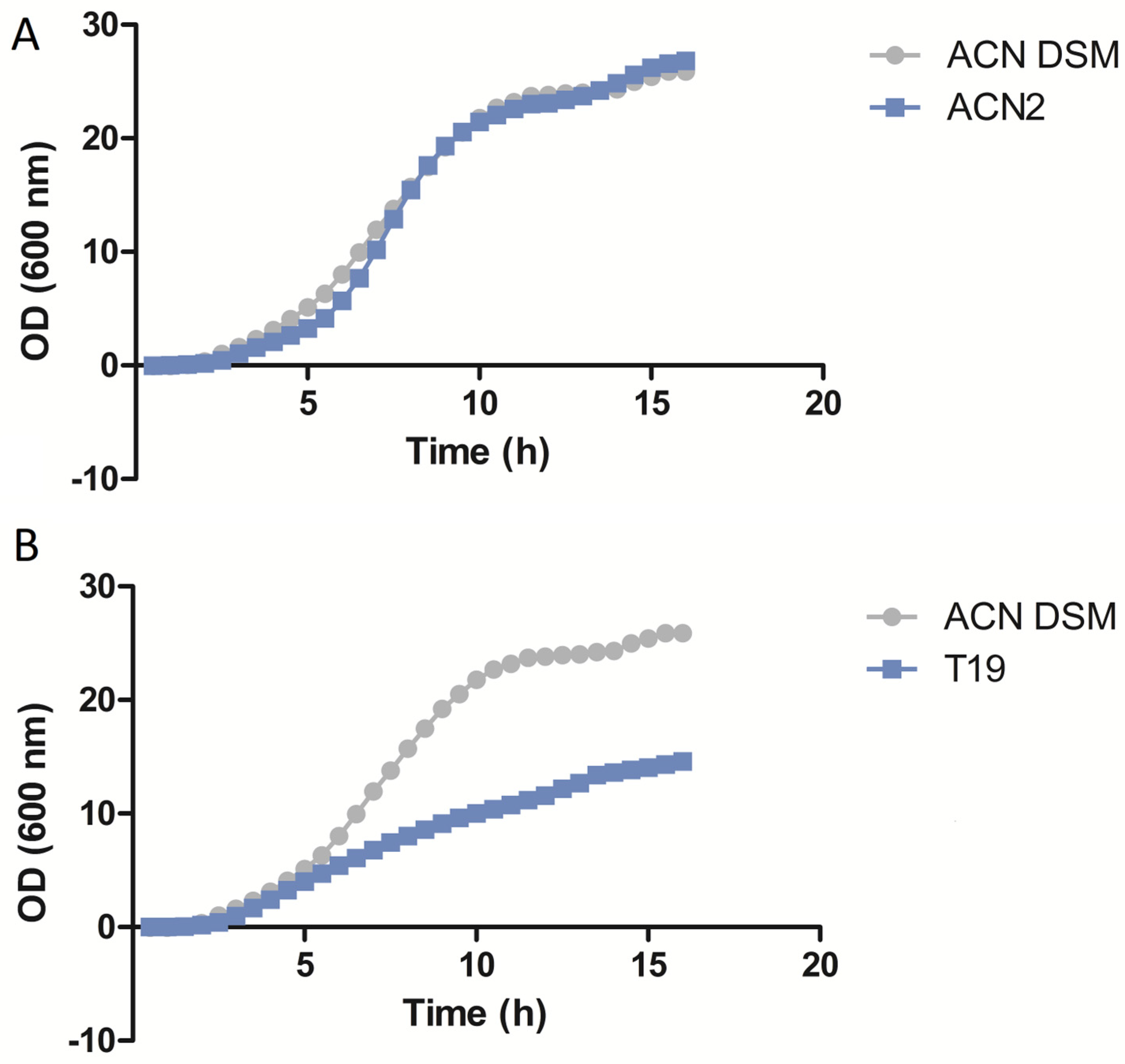 Microorganisms 12 00349 g001