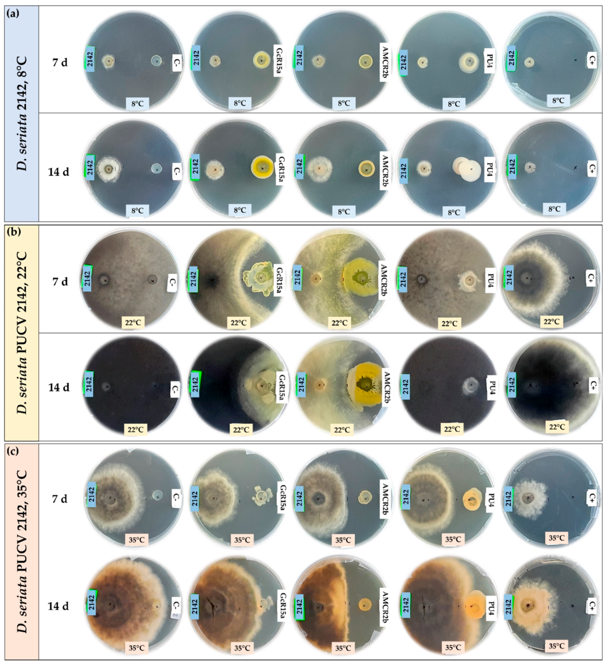Microorganisms 12 00350 g002