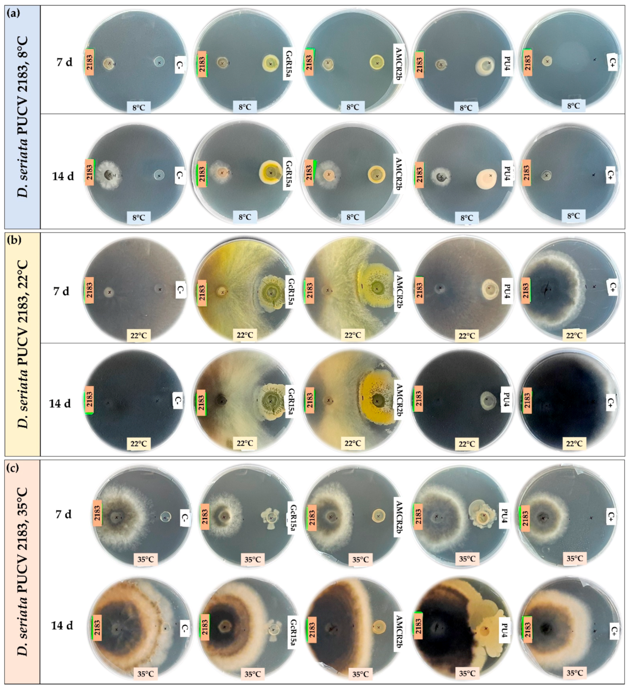 Microorganisms 12 00350 g003