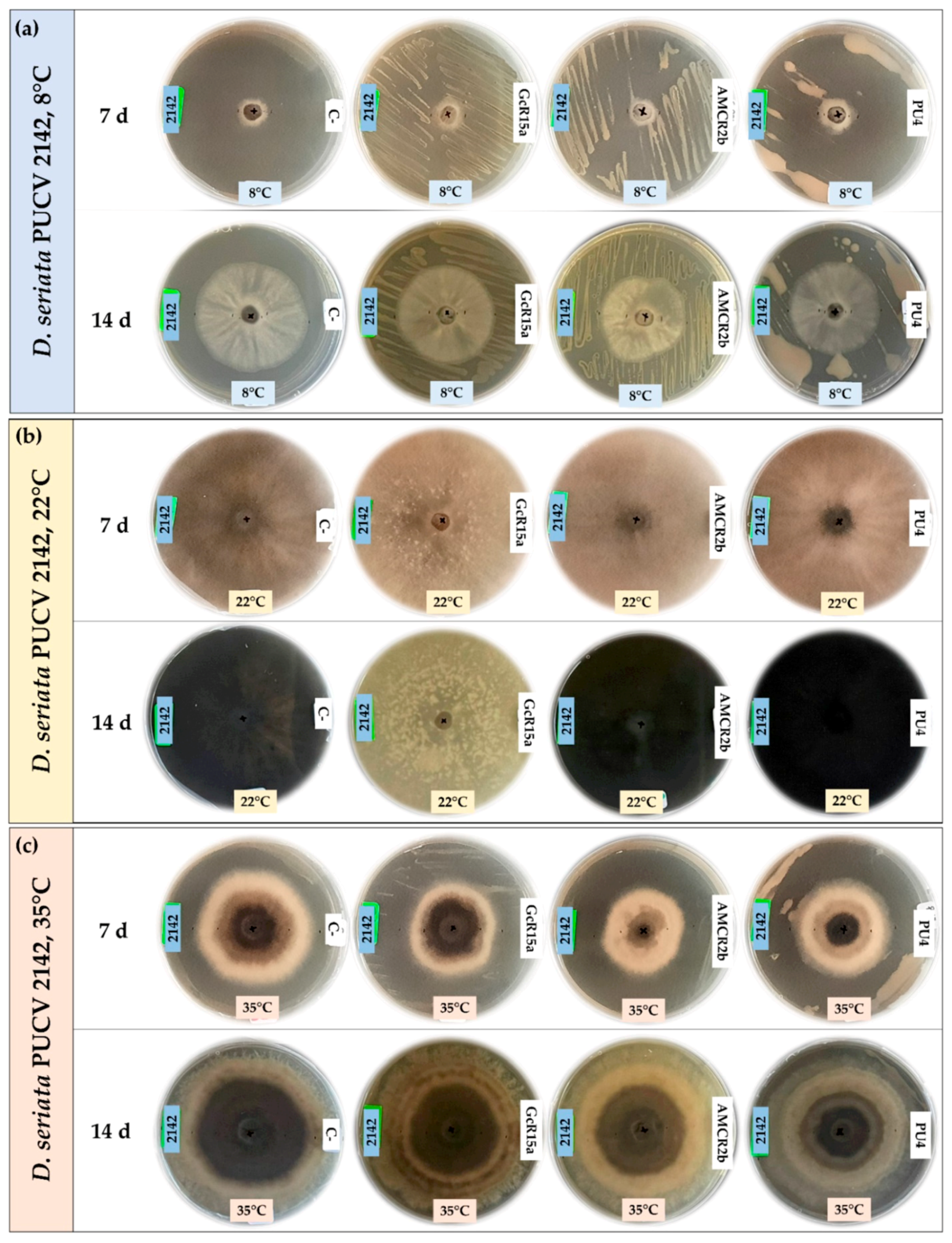 Microorganisms 12 00350 g006