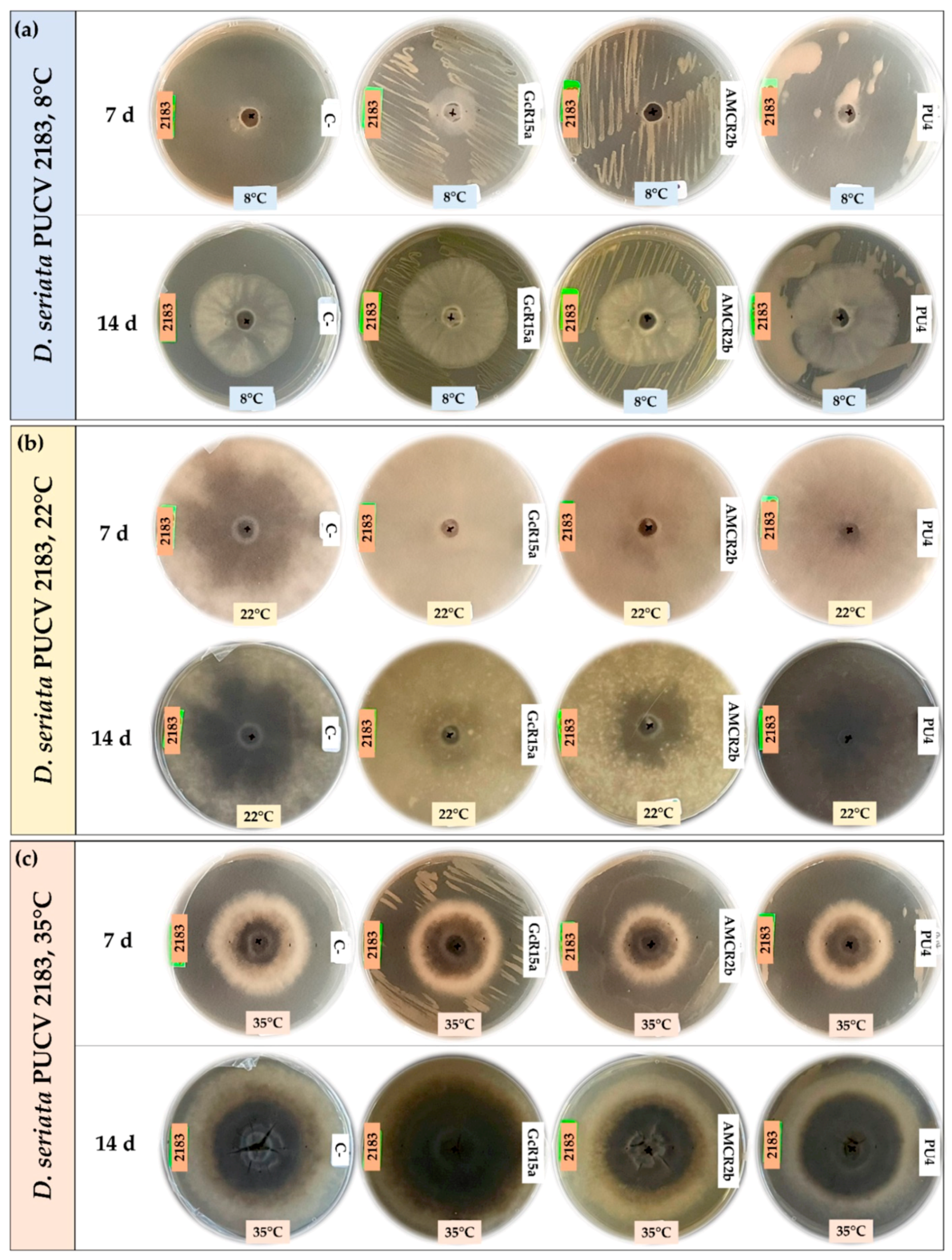 Microorganisms 12 00350 g007