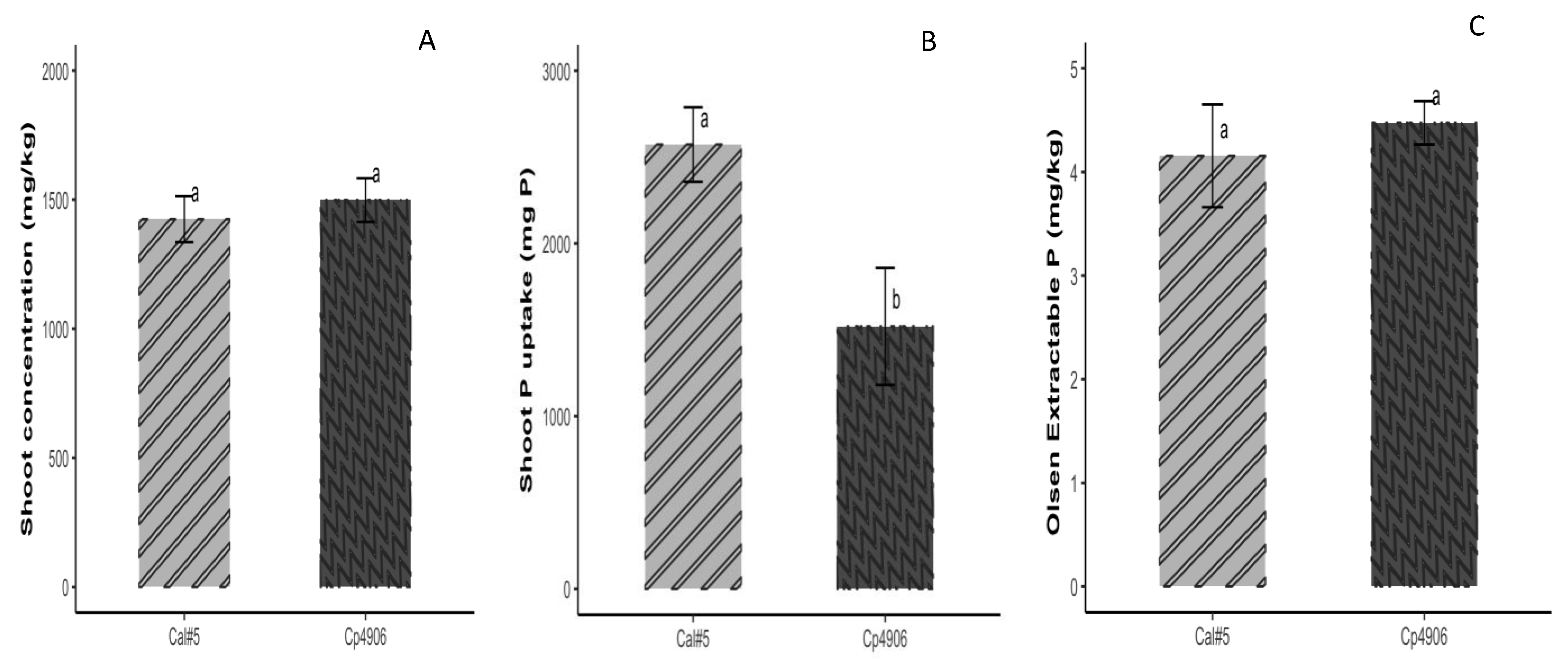 Microorganisms 12 00353 g004