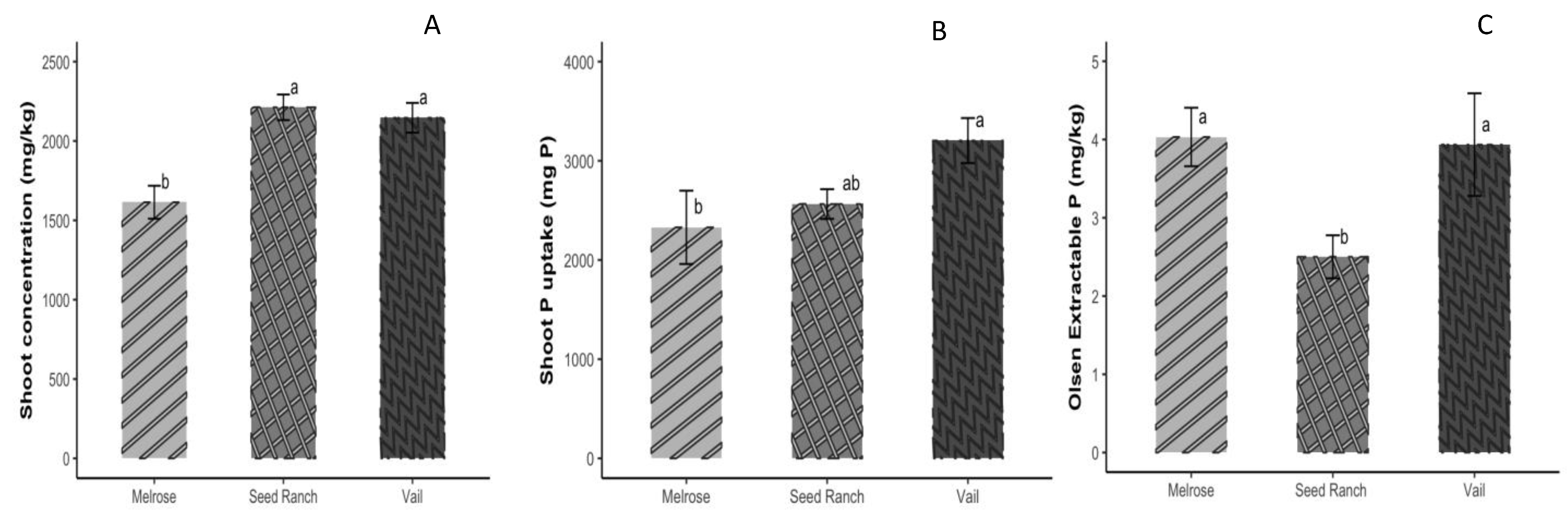Microorganisms 12 00353 g005