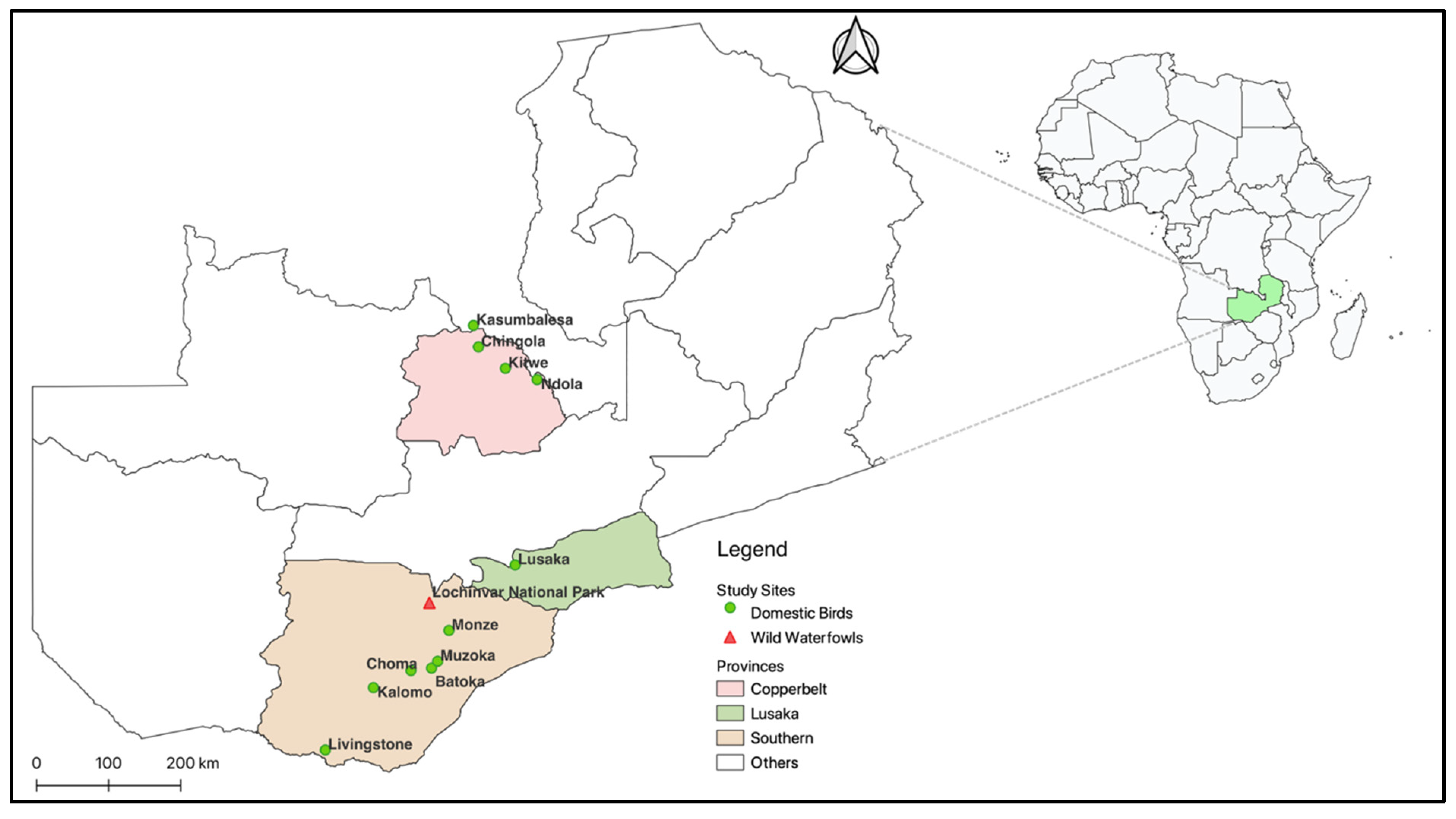 Microorganisms 12 00354 g001 Microorganisms 12 00354 g001