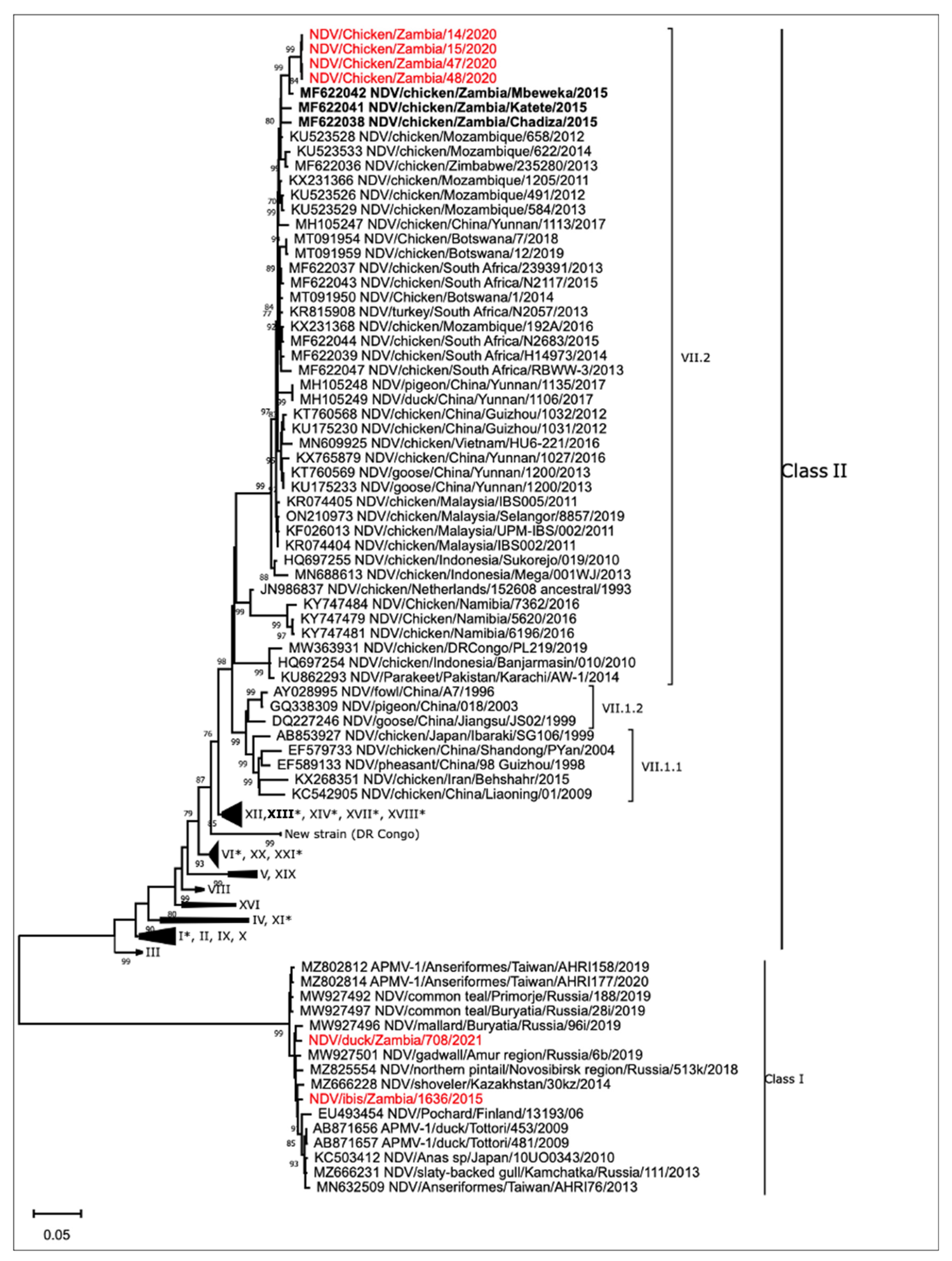 Microorganisms 12 00354 g002 Microorganisms 12 00354 g002