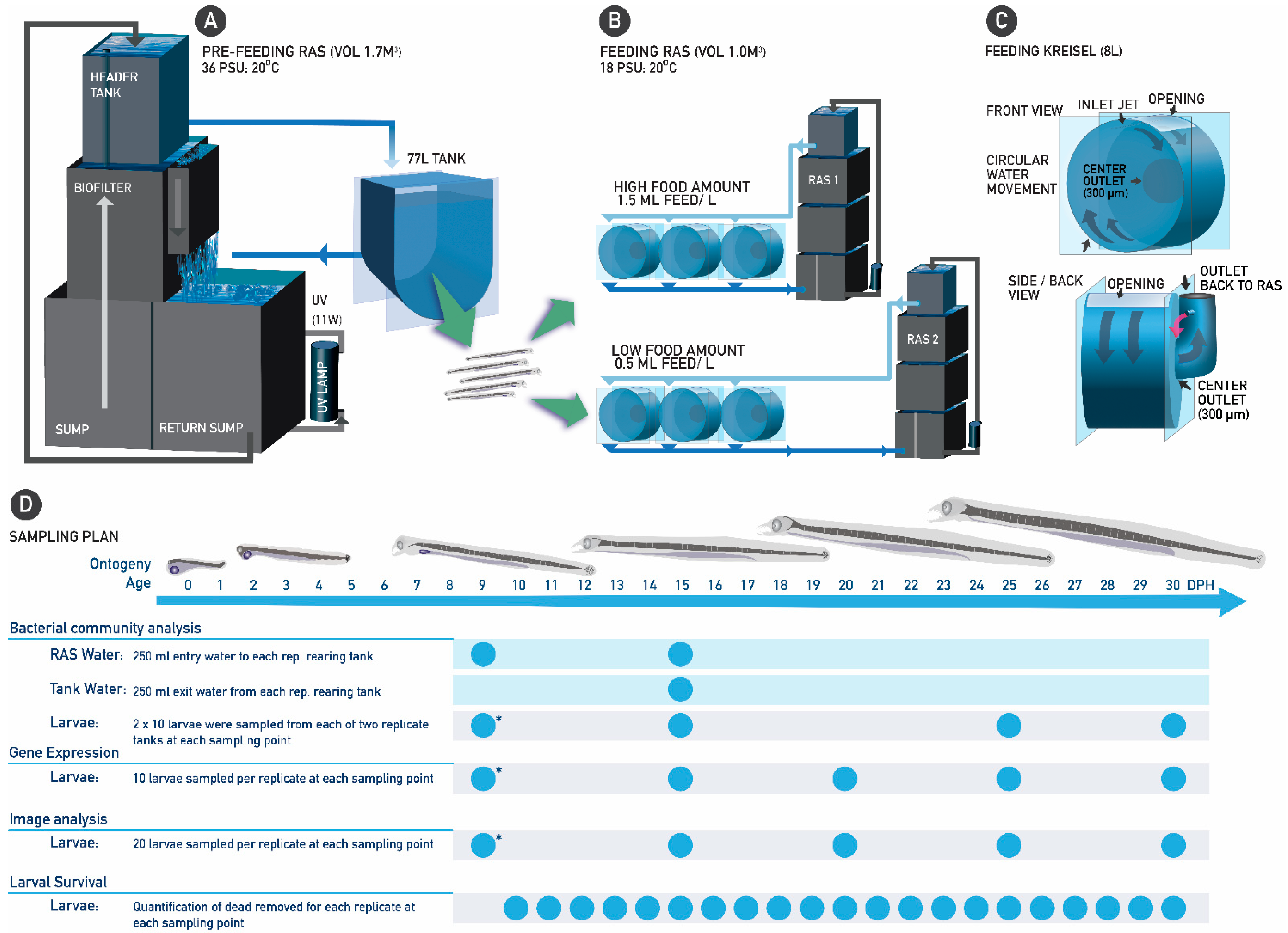 Microorganisms 12 00355 g001