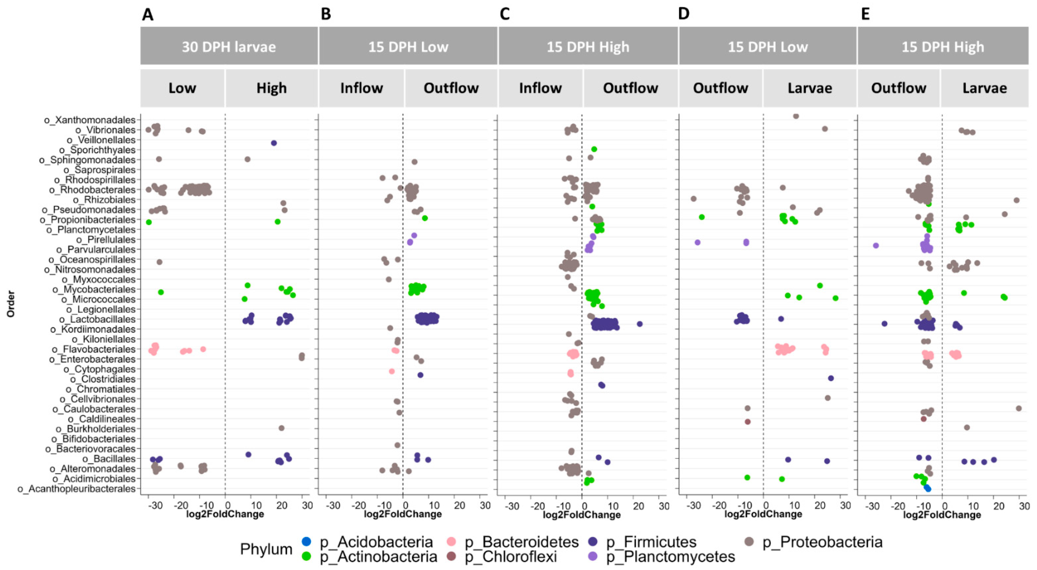 Microorganisms 12 00355 g007