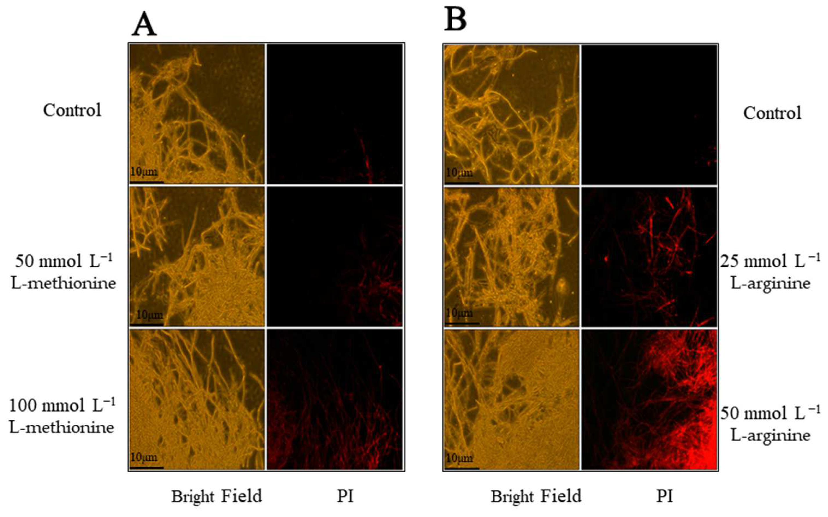 Microorganisms 12 00360 g006