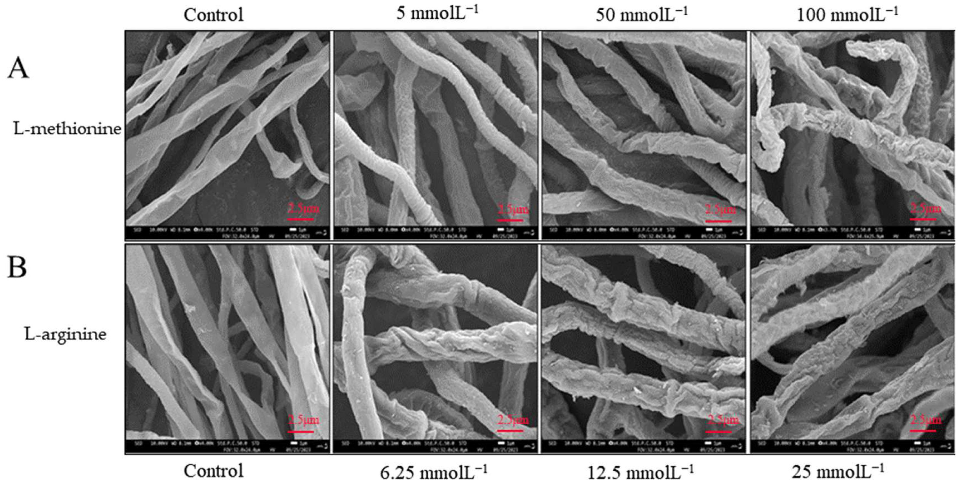 Microorganisms 12 00360 g007